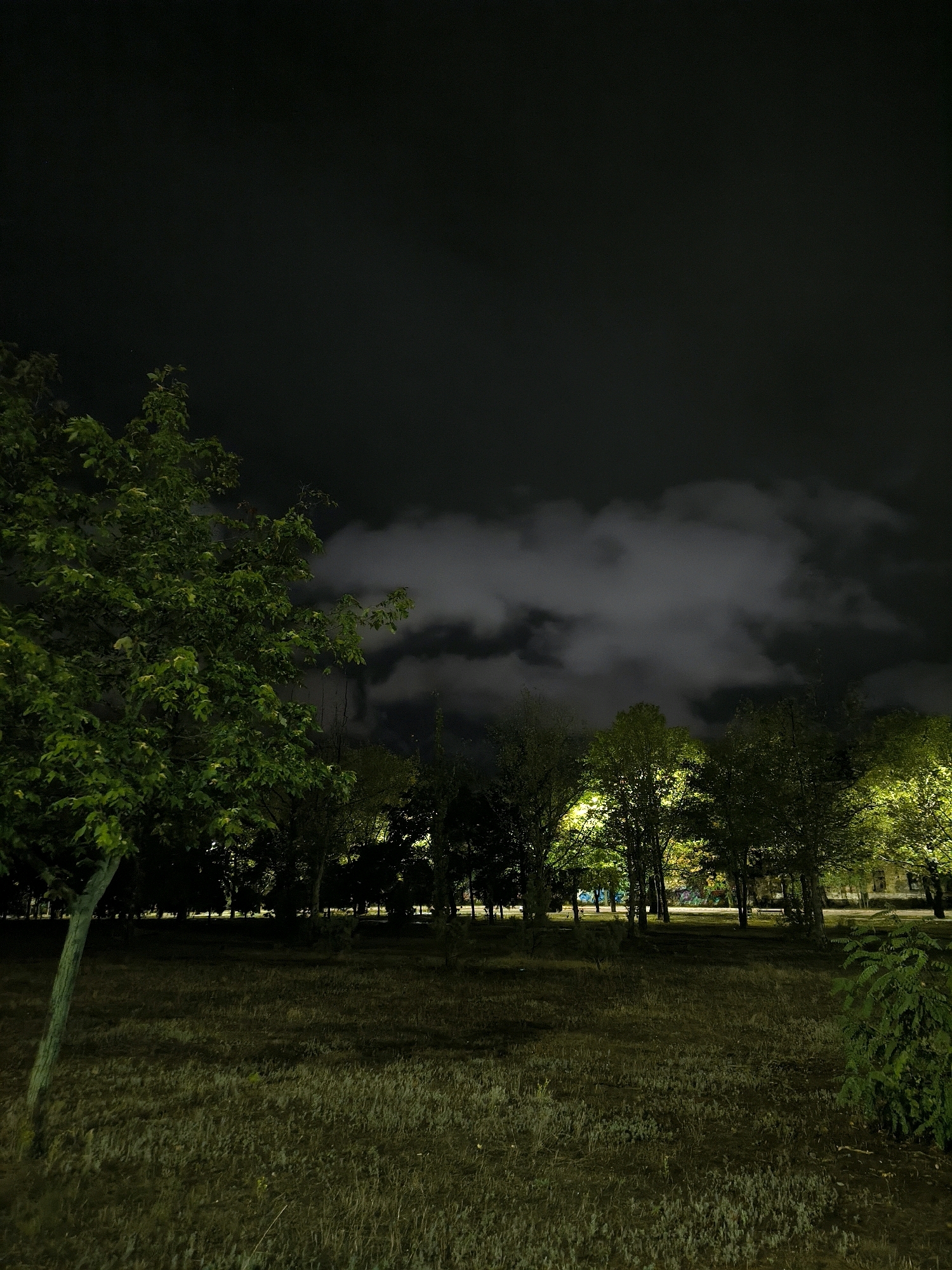 A nighttime outdoor shot captures a grassy park area with trees silhouetted against a dark, cloudy sky. The foreground features a lone tree with green leaves and a trunk illuminated from the side, casting a shadow on the patchy grass. Beyond the foreground tree, a line of trees with illuminated foliage forms a backdrop, their leaves glowing with a yellowish-green light. The sky is dark and overcast, with some lighter, diffused clouds visible. The overall scene suggests a quiet, possibly urban park at night. There are no people or discernible actions in the image.