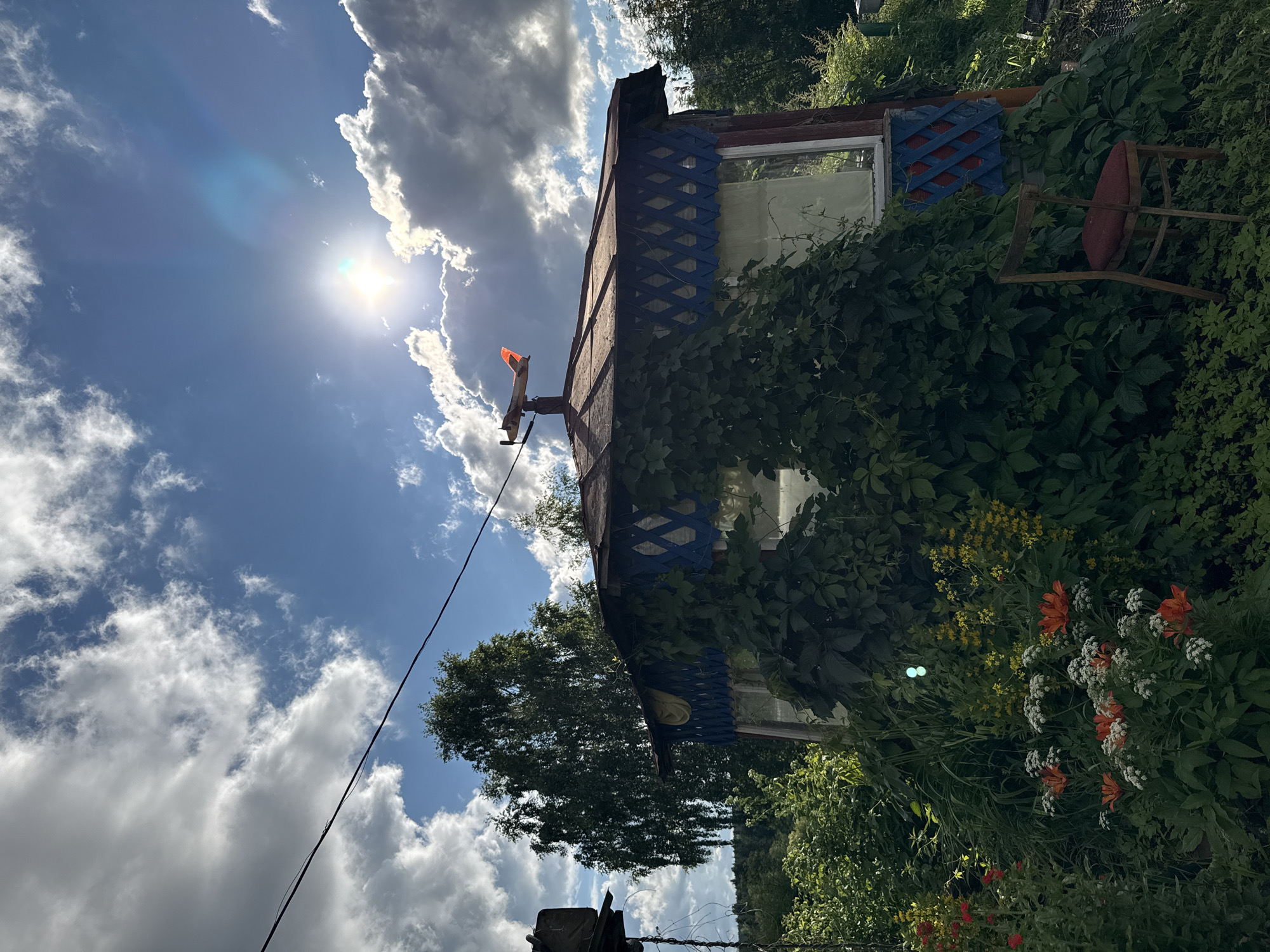 This image depicts a sun-drenched outdoor scene in Bolshiye Turyshi, Russia, featuring a rustic gazebo heavily overgrown with green vines. The gazebo has a weathered brown roof and blue lattice trim with red diamond accents. A decorative airplane weather vane sits atop the roof. In the foreground, a cluster of orange and white flowers bloom amidst lush green foliage. A solitary wooden chair with a red cushion is positioned to the right of the gazebo, partially obscured by the greenery. The background consists of dense trees and a bright blue sky with scattered white clouds, with the sun prominently visible, creating a lens flare. A power line runs diagonally across the upper portion of the frame. The overall impression is one of a slightly overgrown, rural, or dacha-like setting.