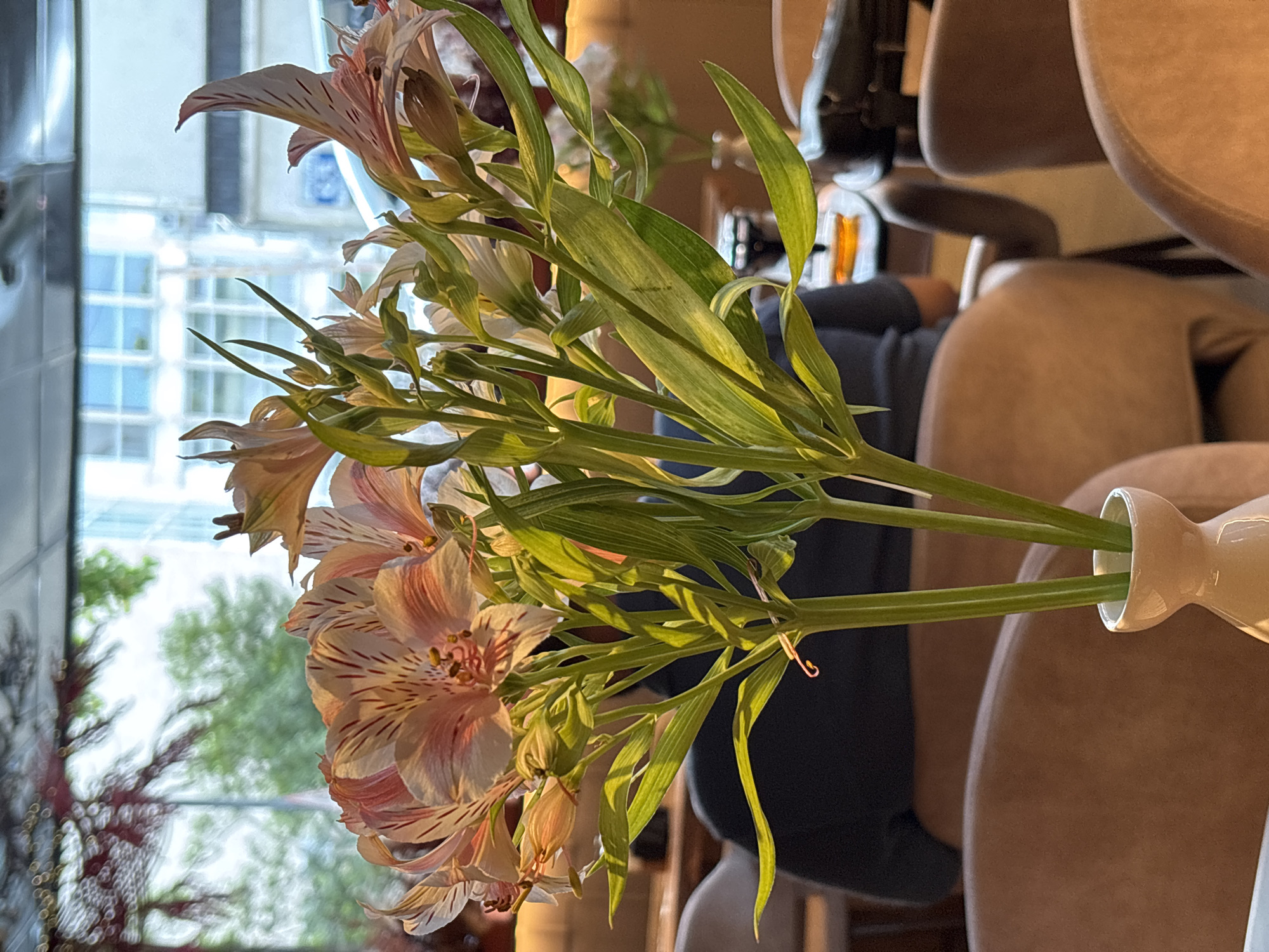 A close-up, low-angle shot focuses on a bouquet of pale pink Alstroemeria flowers in a small white vase. The flowers have delicate streaks of reddish-brown and are supported by vibrant green stems and leaves. The background is softly blurred, suggesting an indoor setting, possibly a restaurant or cafe. Through a window, the out-of-focus view shows a building with multiple windows and greenery outside, hinting at an urban environment. The lighting suggests it is daytime. The scene is set in a seating area with chairs upholstered in light brown material. The overall impression is one of a tranquil and aesthetically pleasing indoor environment.