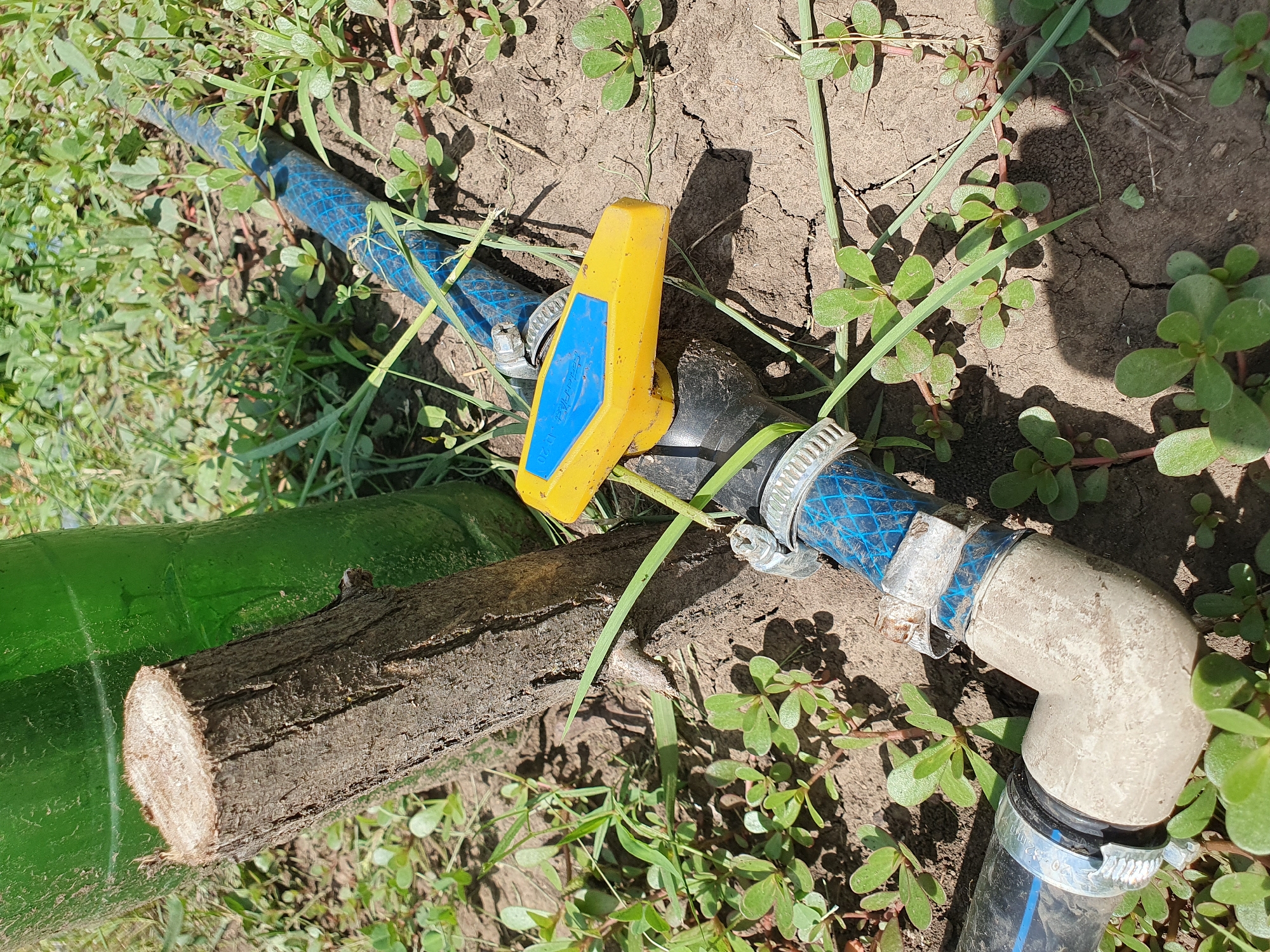 In the city of Novoivanivka, Ukraine, a close-up, overhead shot reveals a watering system setup on dry, cracked earth, interspersed with low-lying green vegetation. A rough-cut wooden post, approximately 15cm in height, stands vertically to the left of center, leaning slightly towards a large, out-of-focus green plastic bottle or container. Connected to the bottle is a black pipe that transitions into a blue, braided hose secured by a metal clamp. A yellow and blue valve handle is attached to the black pipe, positioned to the right of the wooden post. Further along, the blue hose connects to a light-colored PVC elbow fitting, also secured by a metal clamp, which then connects to another black pipe. The scene is illuminated by direct sunlight, casting shadows from the vegetation and the wooden post onto the ground.
