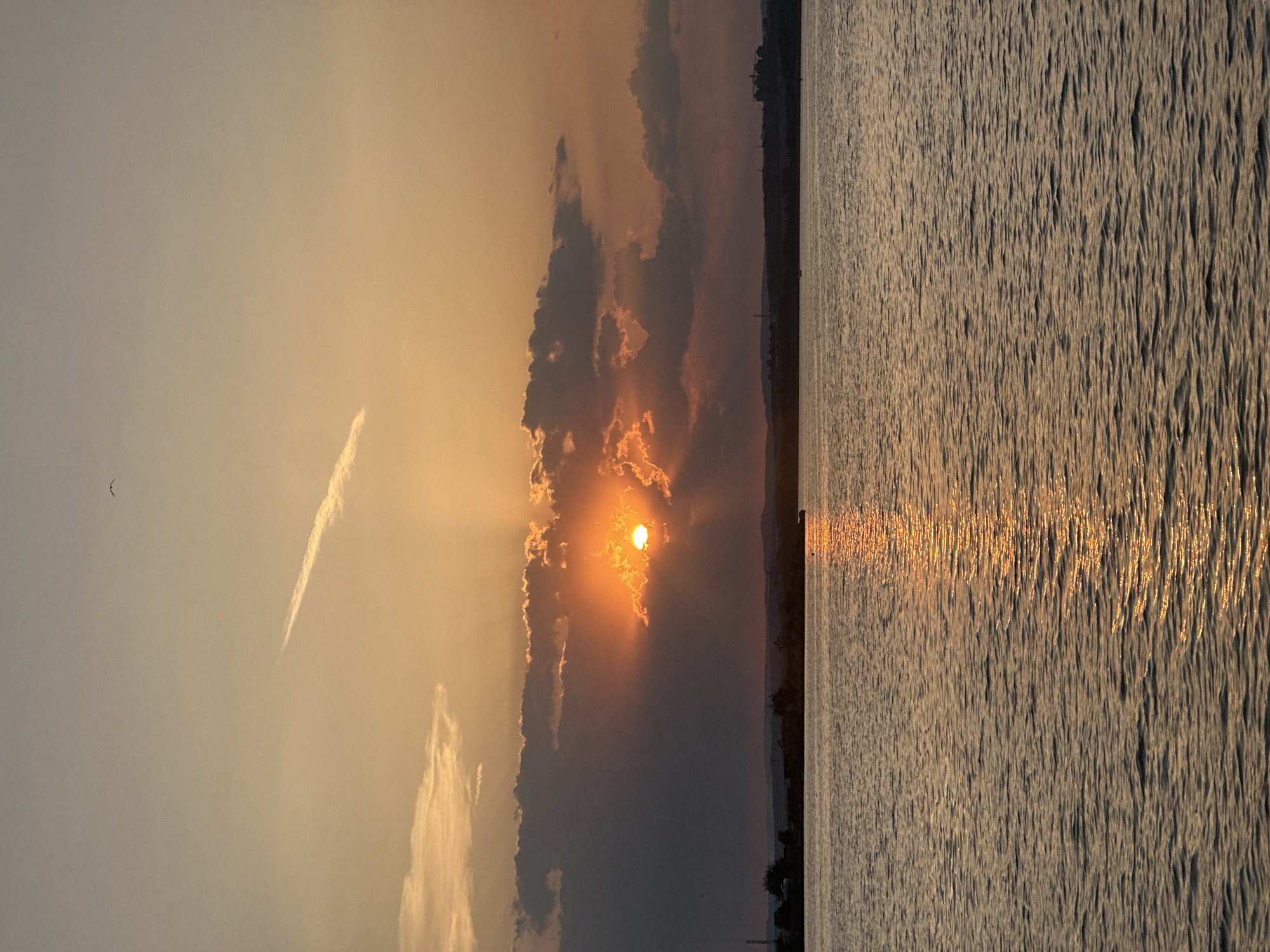An image captures a sunset over a body of water, likely a lake or bay, with a distant shoreline and cityscape. The sun is partially obscured by clouds, casting rays of light that create a dramatic effect. The water reflects the warm hues of the sunset, with a golden path of light stretching across its surface. The shoreline features a silhouette of trees and structures, suggesting an urban or semi-urban environment. The sky is a gradient of orange, yellow, and gray, with a single bird visible in the upper portion of the frame. The overall scene evokes a sense of tranquility and natural beauty.