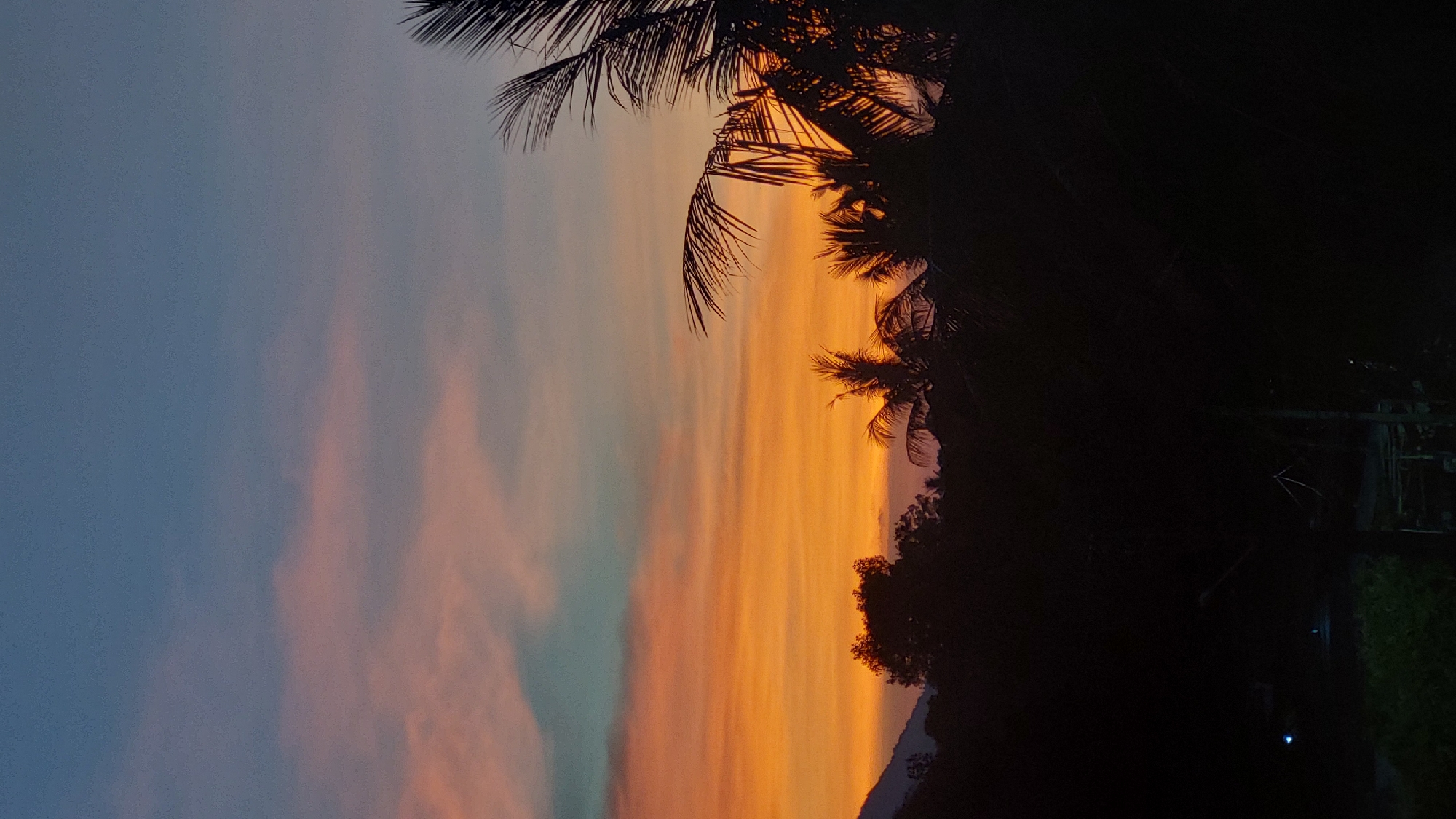 Captured in Baan Mae Nam, Thailand, the image showcases a vibrant sunset obscured by silhouetted foliage. The left side of the frame displays a blue-gray sky streaked with pink clouds. A gradient transitions into a brilliant band of orange hues occupying the center. Palm tree fronds are silhouetted against the sunset. The right side of the frame is dominated by dark shadows of dense vegetation, obscuring details of the terrain below.