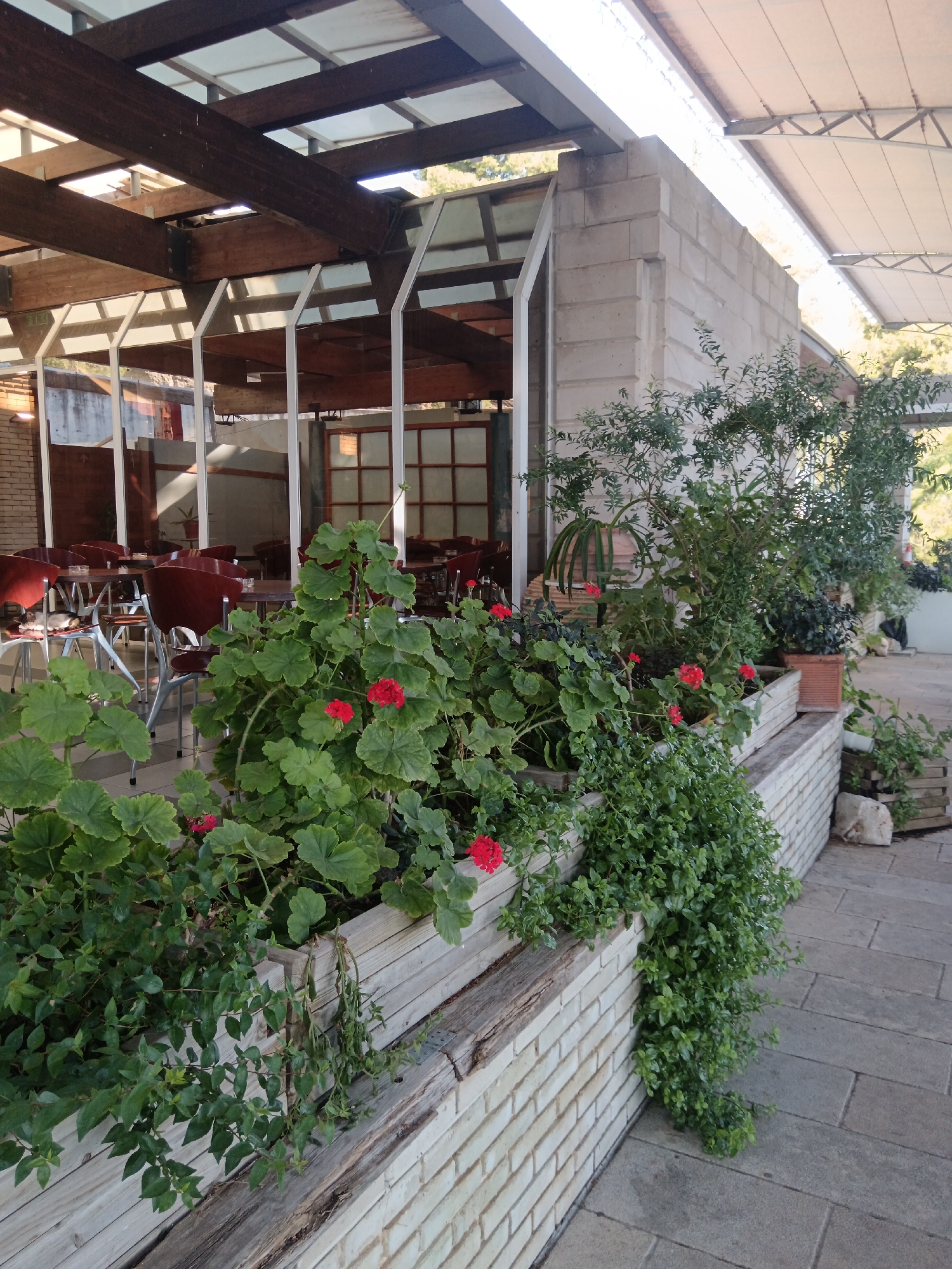 The image shows an outdoor seating area with tables and chairs, partially covered by a roof structure. Green plants and red flowers are in planters along the side of the seating area. The ground is paved with stone tiles. In the distance, there are buildings and trees. The Municipal Unit of Vocha is a region in Greece, and this scene could be a cafe or restaurant in that area.