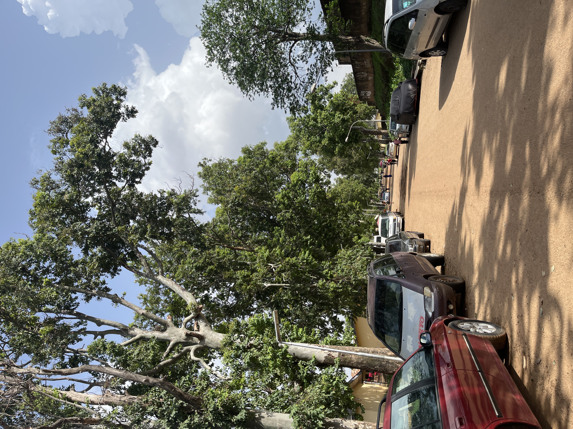 This image depicts a sun-drenched, dirt road in Jos, Nigeria, lined with mature trees casting dappled shadows. Several cars are parked along the roadside, including a red sedan in the foreground, a purple minivan, and a silver SUV further down the street. A few individuals are visible walking along the road in the distance. The sky is blue with scattered white clouds. A low, graffiti-covered wall runs along the right side of the street, with vegetation growing on the embankment behind it. The scene suggests a typical day in a residential or less busy commercial area of the city, with the natural landscape playing a prominent role.