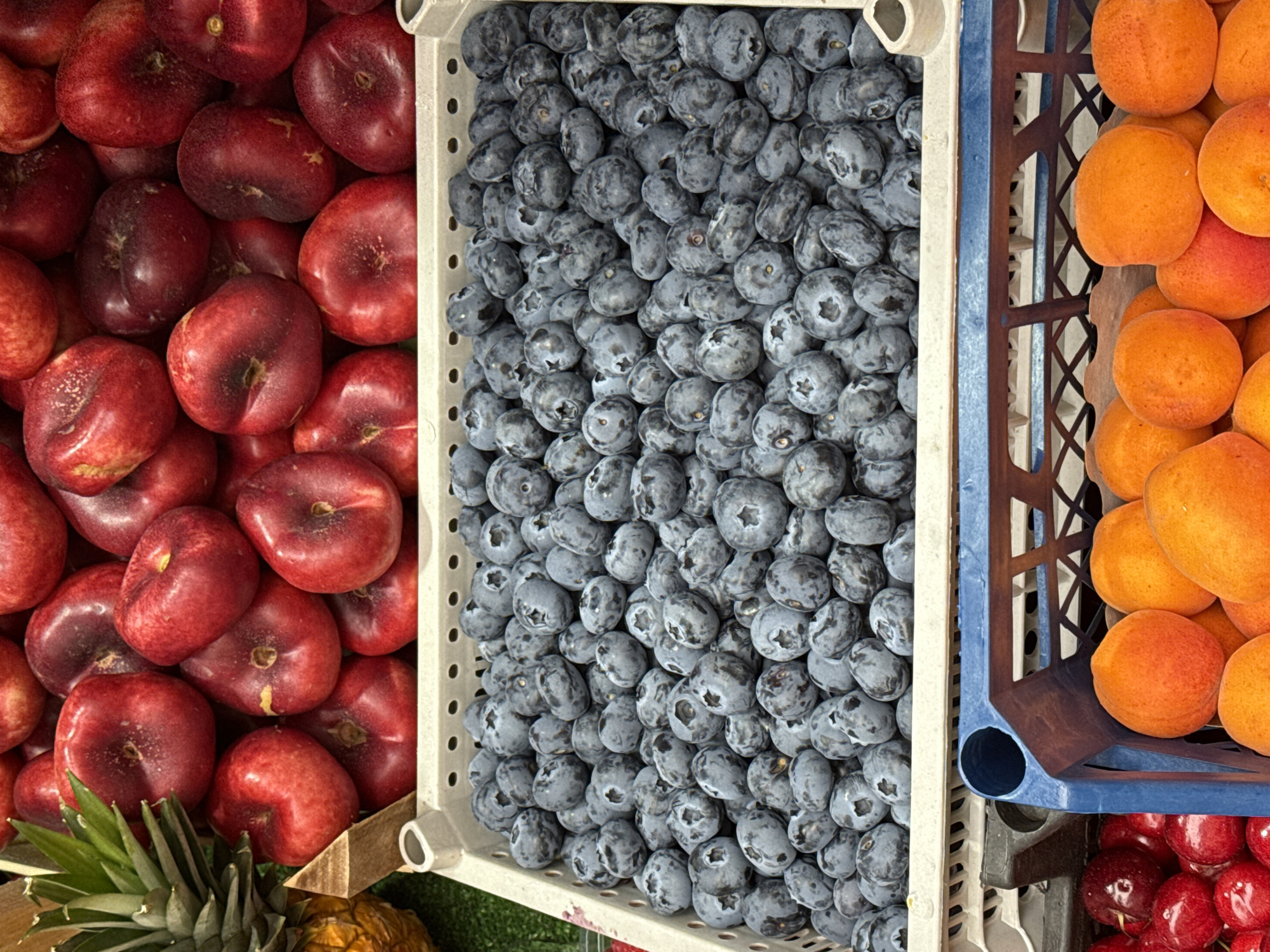 The image displays a close-up, top-down view of various fruits displayed in containers. In the foreground, a blue plastic crate holds a collection of bright orange apricots. To the left of this crate, a white container is filled with dark red cherries. Above the apricots, a white rectangular container is brimming with numerous small, dark blue blueberries. Behind the blueberries, a pile of red nectarines is visible, with a portion of a pineapple also present on the left side. The overall impression is that of a fruit stand or market display. The location of this scene in Saint Petersburg, Russia, is not discernible from the image itself. No people are visible in the frame, and no actions or interactions are depicted.