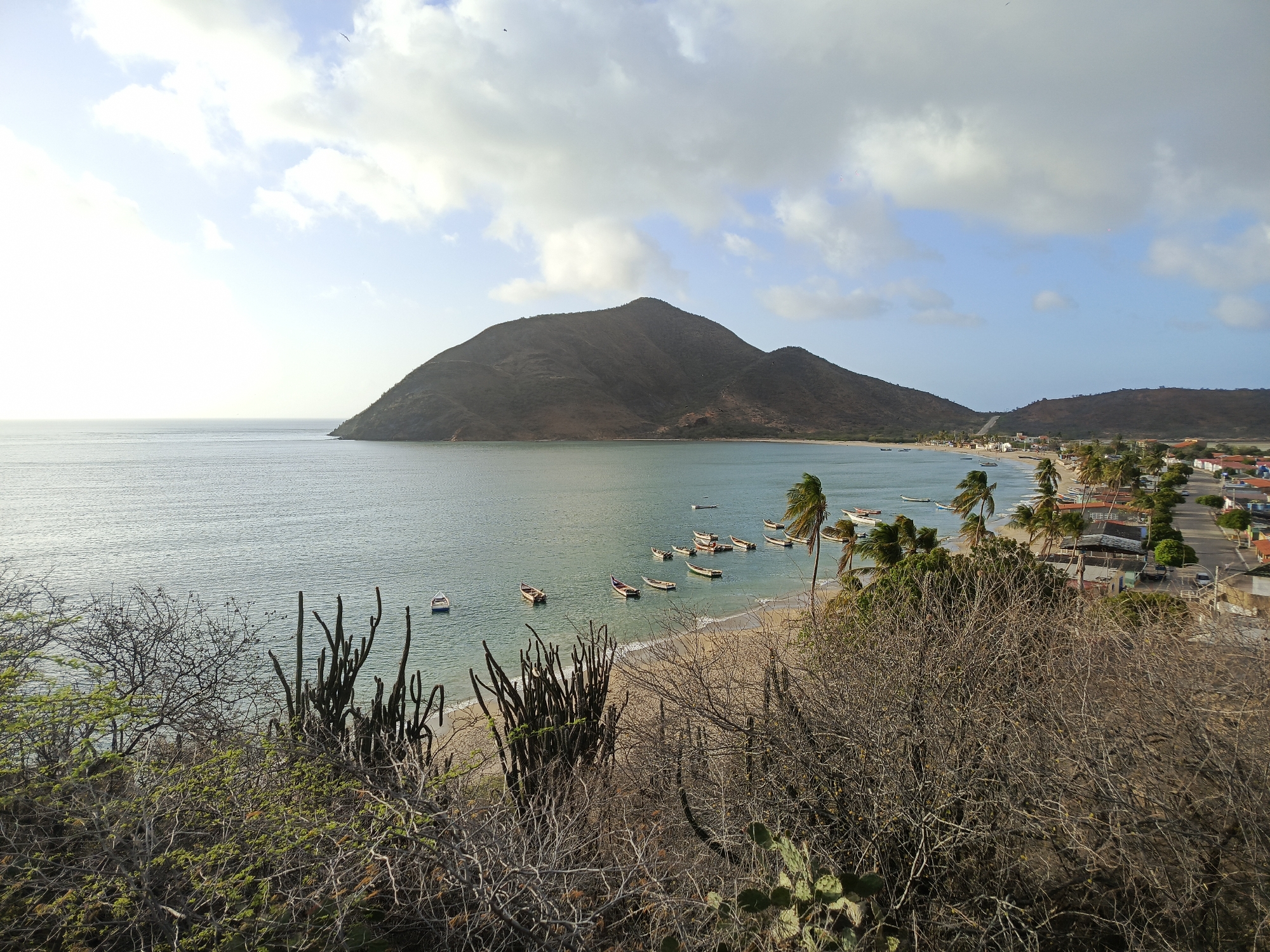 The image is a high-angle, wide shot of a coastal scene in Juan Griego, Venezuela. A large, dark, mountainous island dominates the background, with the sea in the middle ground and a beach fringed with palm trees and buildings in the foreground. Several small boats are visible on the water and near the shore. The foreground is occupied by dry, thorny vegetation and cacti. The sky is partly cloudy with the sun partially obscured, casting a soft light on the scene. The overall impression is one of a tranquil, somewhat arid coastal environment.