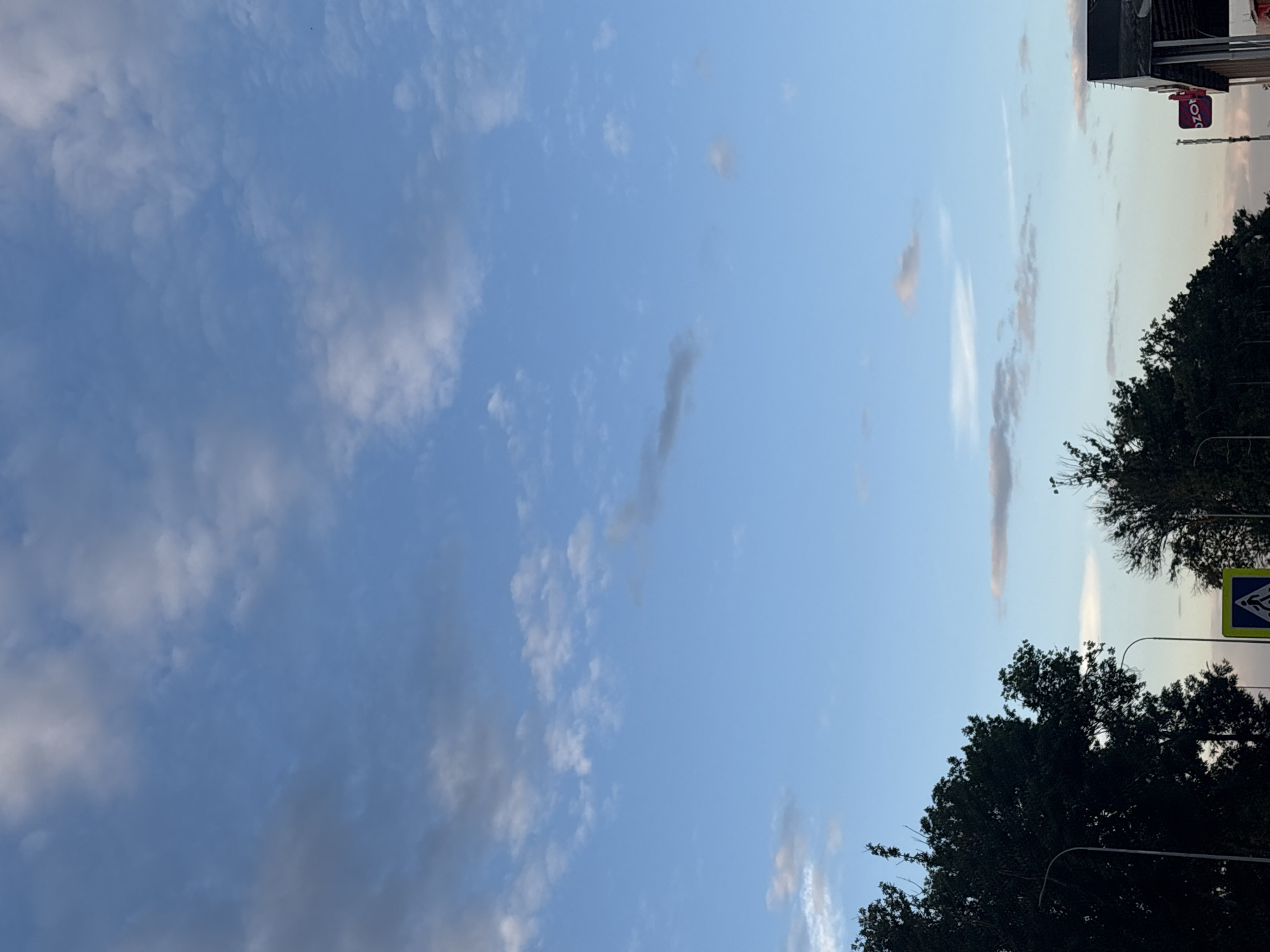 The image captures a clear blue sky with scattered clouds, suggesting it is daytime. The perspective is looking upwards, with the horizon visible in the upper right portion of the frame. Silhouetted against the sky are the dark green canopies of trees, some appearing dense and leafy, others more sparse.
In the upper right, a building with a dark facade is visible, and on it, a red and white sign with the Cyrillic letters "OZO" can be seen. Below the building and trees, streetlights and a pedestrian crossing sign are present, indicating an urban or semi-urban setting. The pedestrian crossing sign is diamond-shaped and yellow with a blue border, and depicts a stylized figure walking.
The lighting suggests it might be late afternoon or early evening, as the sky has a soft glow. The clouds are thin and wispy, with some darker, more defined patches. There are no people or any specific activity clearly depicted. The overall impression is a calm, overcast, but bright sky over a street scene, with the greenery of trees and man-made elements like signs and lights providing context. The presence of Cyrillic text on the sign anchors the location to a Russian-speaking area, consistent with the provided location context of Mikhaylovsk, Russia.