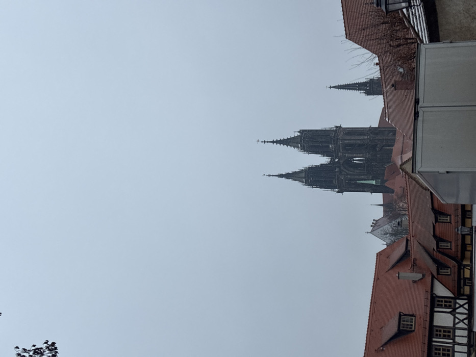The image displays an overcast daytime view of Meissen, Germany, with the Meissen Cathedral prominently featured on the Schlossberg hill. The sky occupies the upper two-thirds of the frame, appearing uniformly light grey.
In the lower foreground, a collection of traditional European buildings with red-tiled roofs is visible. To the left, a multi-story half-timbered house with white infill and dark wooden beams is present, displaying multi-paned windows and a dormer on its roof. In the lower right, a large, light-colored commercial truck, possibly white or light grey, is parked with its rear or side visible, partially obstructing the view of other structures. A dark, ornate street lamp extends into the frame to the right of the truck. Small patches of snow or frost are visible on some of the closer rooftops.
Above these foreground structures, the Meissen Cathedral (Meißner Dom) rises distinctly. It is a large, dark Gothic structure with two prominent, highly detailed spired towers topped with finials, standing against the lighter sky. A smaller spire with a green conical roof is situated to the left of the main cathedral structure, nestled among other red roofs. Another slender, dark spire is visible to the right of the cathedral's main body, extending above the residential rooftops. Bare tree branches with small, dark clusters of berries or buds are visible in the upper left corner, partially entering the frame from above. No individuals are depicted within the scene.