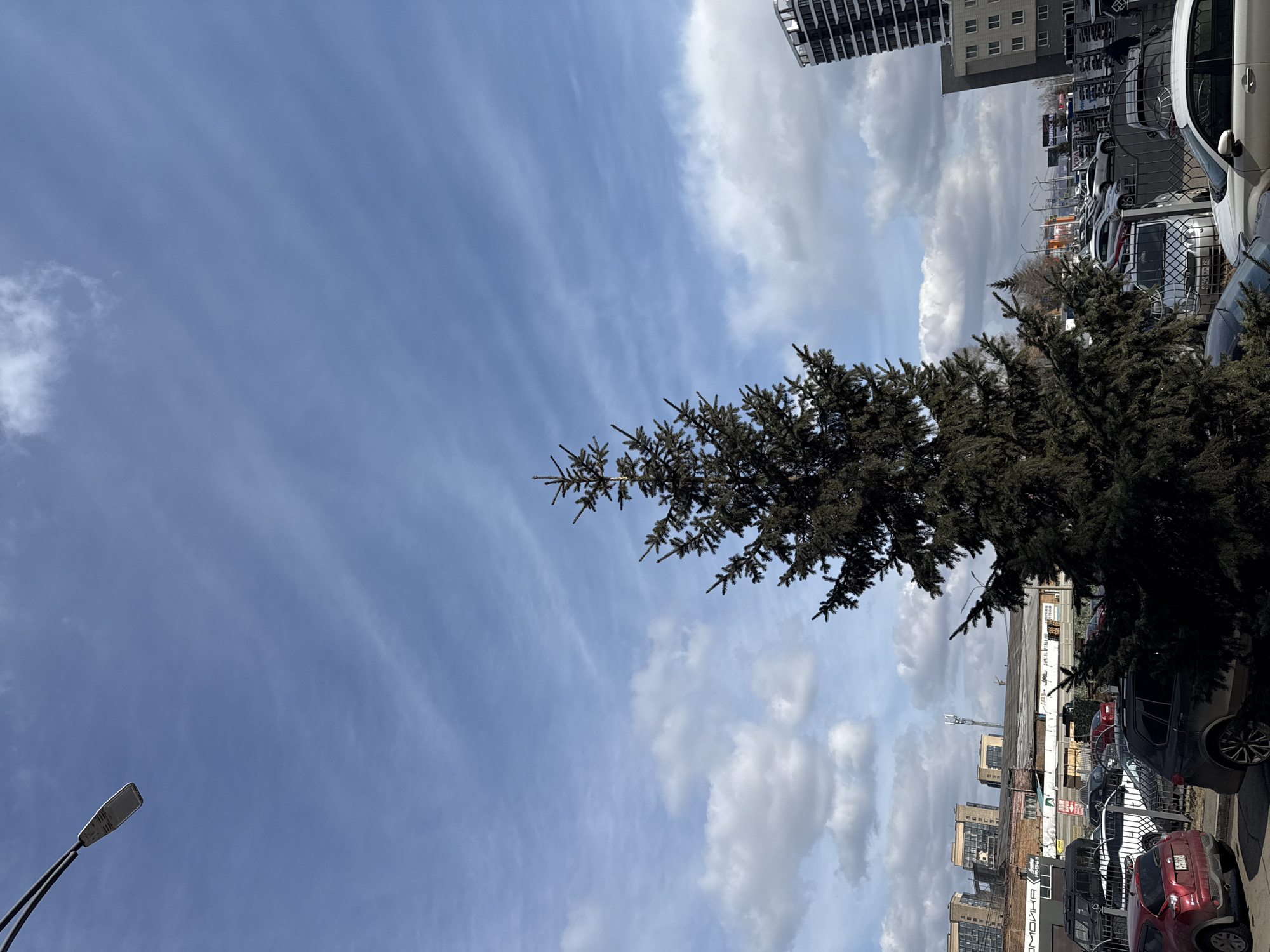 This media file captures a daytime urban scene in Krasnoyarsk, Russia, looking upwards towards the sky and across a street or parking area. The image appears to be originally a portrait-oriented shot, presented here rotated 90 degrees clockwise.
In the upper two-thirds of the image, a wide expanse of bright blue sky is visible, adorned with various cloud formations. These include wispy cirrus clouds stretching horizontally and more voluminous white and grey cumulus clouds scattered throughout, some appearing denser and darker towards the background horizon. A faint, slender crescent moon is subtly visible in the upper-left portion of the sky, indicating it's daytime.
The lower and right portions of the image feature elements of a city environment. A dark green evergreen tree, likely a spruce or fir, dominates the right side, with its dense foliage extending from the foreground into the mid-ground. Its branches partially frame the background. In the lower-left, a modern, minimalist street light extends upwards from an unseen base.
Beyond the tree and extending towards the background, a row of parked cars of various models and colors (including white, red, and dark grey/black) lines what appears to be a street or parking lot. A white van with license plate numbers "62 PP PS" is visible among them. In the background, several buildings are present, ranging from a modern, tall structure with glass facades on the upper right to older, multi-story buildings with brick elements further back. Communication antennae or cell towers are visible on the roof of one of these background buildings.
On a low wall or building in the mid-ground, to the left of the parked cars, Russian text "ОМОНКА" is visible, painted vertically. There is no discernible activity or people in the scene; it's a static snapshot of a city street on what appears to be a clear, bright day.