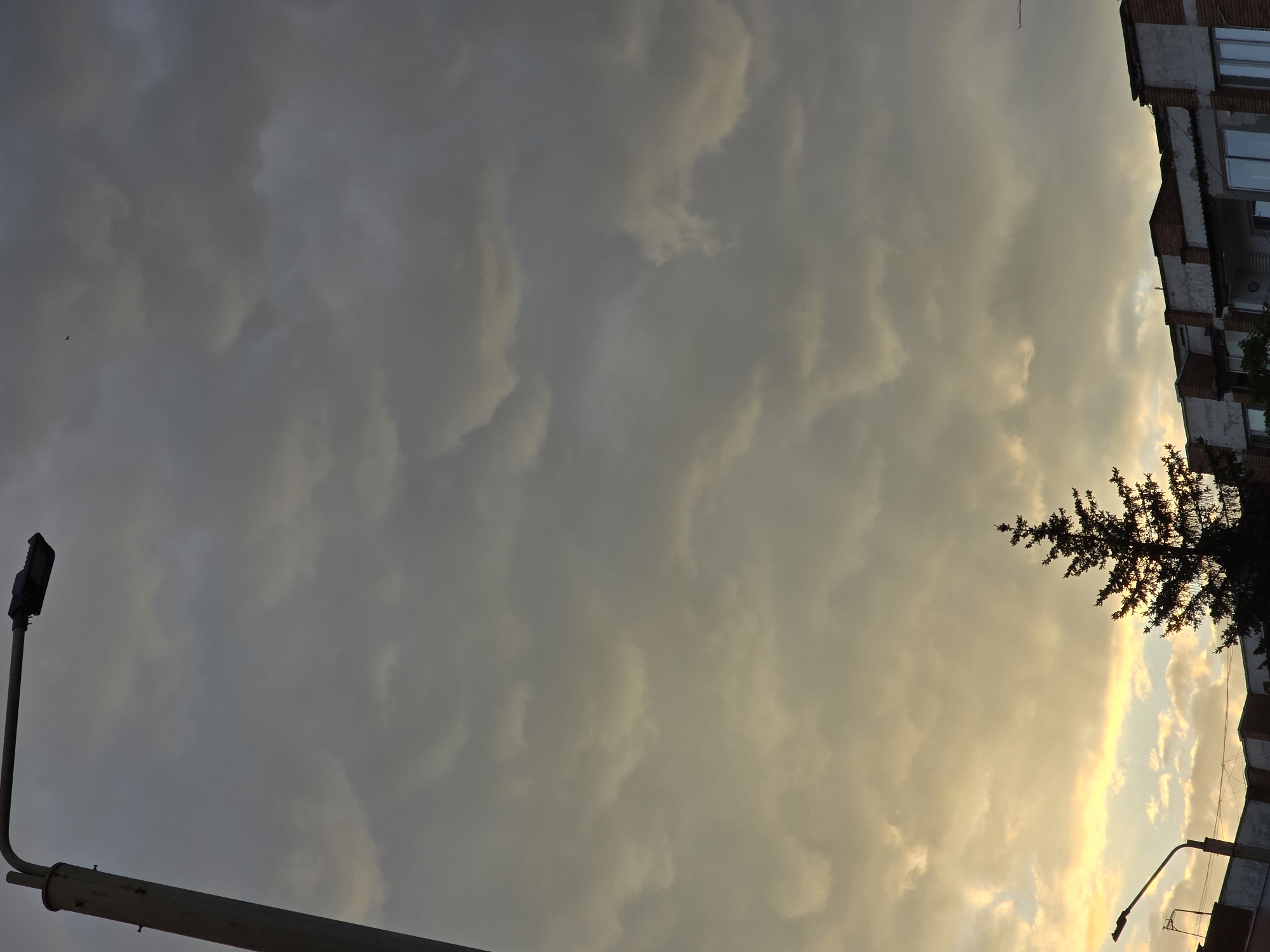 The image displays a dramatic cloudy sky at either sunrise or sunset, viewed from an urban or suburban setting. The sky dominates the frame, filled with a dense array of clouds ranging in color from dark grey and blue-grey in the upper and central areas to vibrant golden, yellow, and orange tones near the perceived horizon line. This warm glow suggests the sun is low, just below the visible frame, casting light upwards onto the clouds.
On the right side of the image, parts of a multi-story building are visible. It appears to be a residential structure with exposed brick and concrete sections, featuring multiple windows. Adjacent to the building, a dark, coniferous tree, possibly a fir or spruce, is silhouetted against the bright, warm sky, its dense branches obscuring the light.
On the far left, a modern street lamp, mounted on a tall pole, is also silhouetted against the sky. Its dark, rectangular fixture and the curving pole stand out against the cloudscape.
A small, dark, bird-like shape is visible in flight against the clouds in the mid-left section of the sky.
The scene conveys a sense of quiet beauty and the transient nature of weather. The heavy cloud cover and the intense, warm light from the low sun create a striking contrast, highlighting the textures and forms of the clouds. No people are visible, and there is no discernible text within the image. The setting appears to be a typical roadside or residential area, evidenced by the building and street lamp.