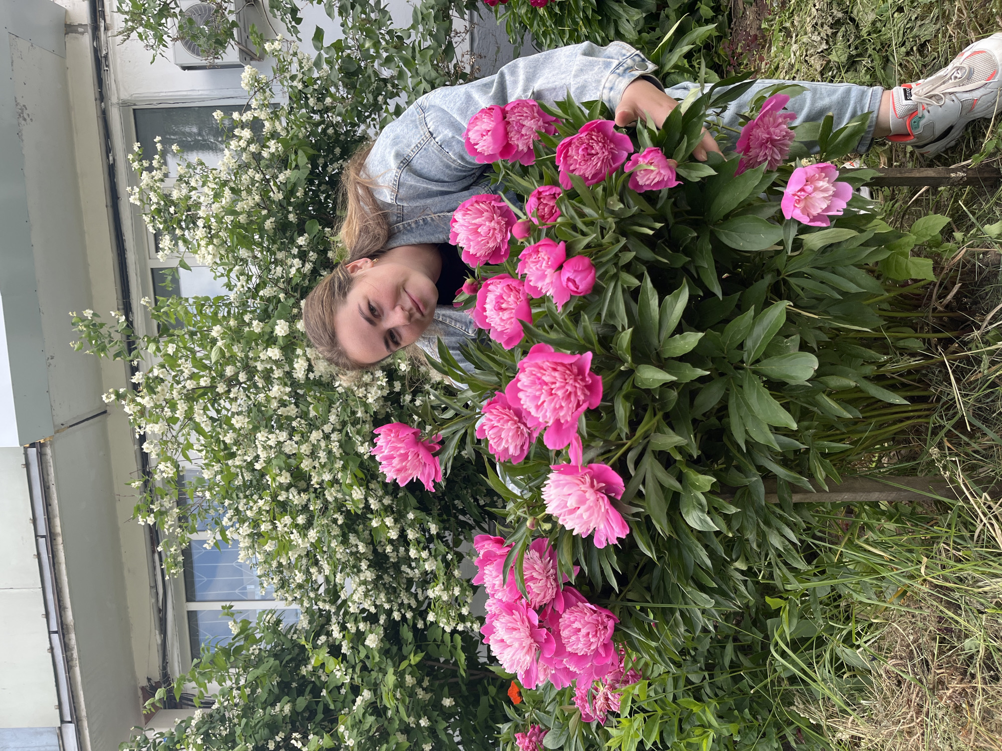 A young woman with blonde hair pulled back and wearing a denim jacket and jeans poses in front of a bush of vibrant pink peonies. She is crouching slightly and looking at the camera with a slight smile. The peonies are in full bloom, with many large, lush flowers. Behind the peony bush, a building with white siding and windows is visible, along with a tree or shrub covered in small white flowers. The scene appears to be outdoors, likely in a garden or yard in the city of Chaikovsky, Russia, given the presence of the building architecture and vegetation typical of the region. The ground is covered with grass and dry leaves.