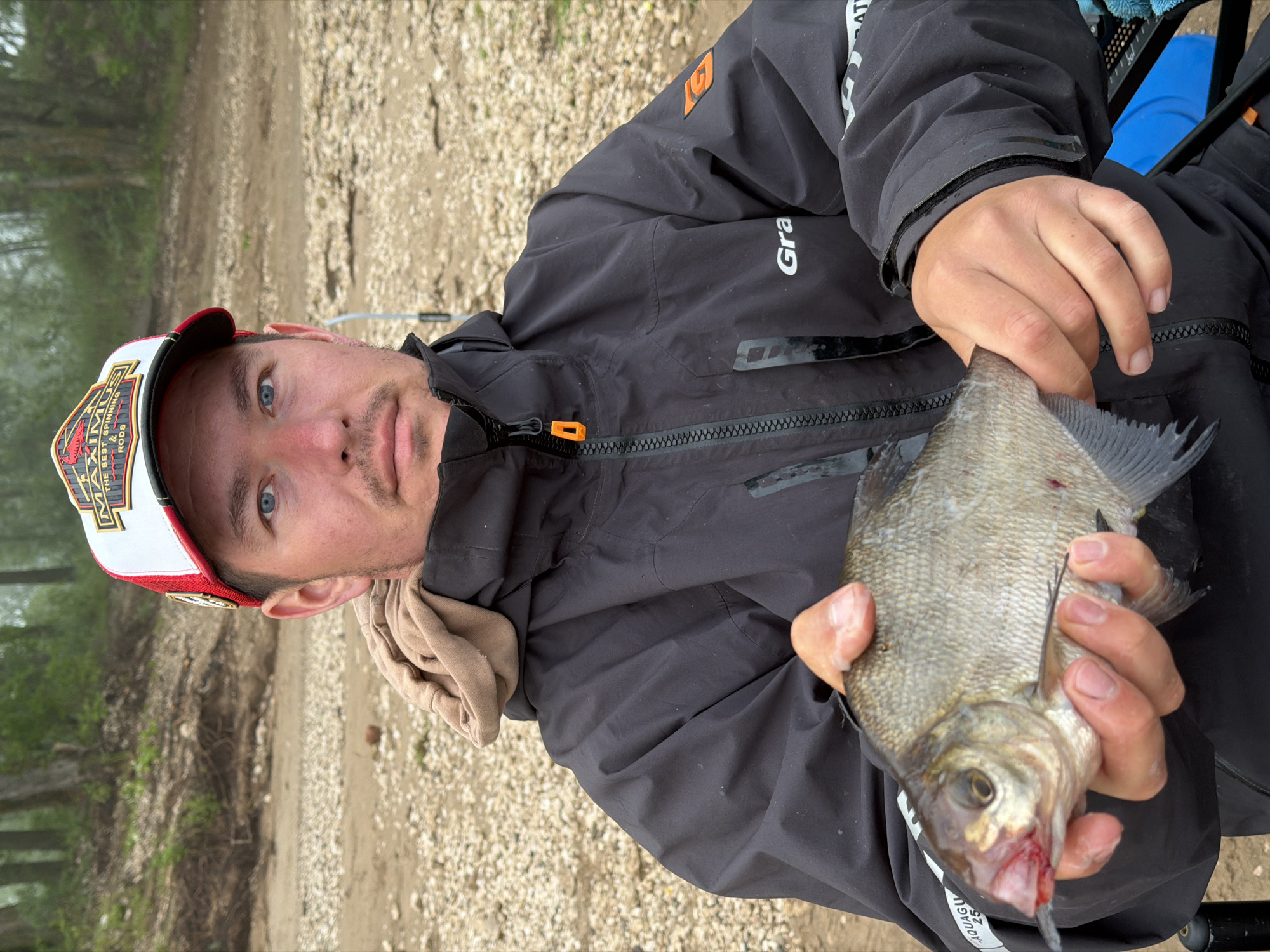 A man is depicted holding a freshly caught fish, looking directly at the camera. He has light blue eyes, short dark hair, and some facial stubble, maintaining a neutral expression. He is wearing a dark grey or black waterproof jacket with an orange zipper pull and an orange, stylized "G" logo visible on his right sleeve. The brand "Gra" is partially visible on his left sleeve, and "AQUAGU" can be seen near the main zipper. A beige cloth, possibly a towel, is tucked around his neck. He wears a white and red baseball cap with a gold emblem that reads "MAXIMUS THE BEST & SPINNING RODS."
The man holds a medium-sized, silvery-grey fish with prominent scales. A hook is visible in the fish's mouth, and there is some blood around its lower jaw, suggesting a recent catch. He grasps the fish firmly with both hands, positioned over his lap.
The setting is outdoors on a pebbly or gravelly bank, possibly alongside a river or lake in Noviy, Russia. In the background, trees with green foliage are visible, suggesting a natural environment. The lighting appears soft, consistent with an overcast day or the muted light of early morning or late afternoon. The ground is covered in light-colored stones and dirt. The image captures a moment of a fishing activity.