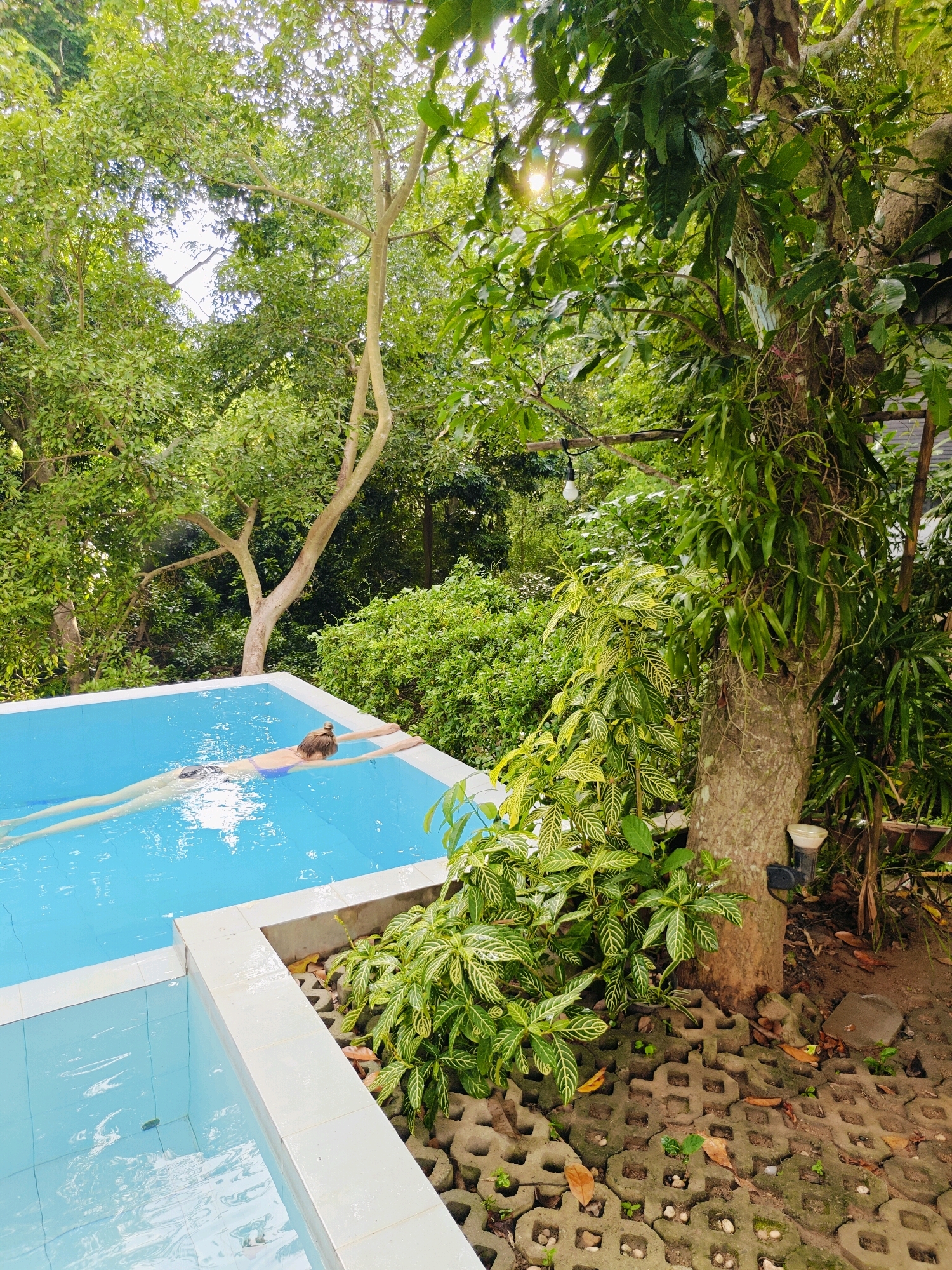 A person swims across a bright blue, rectangular swimming pool set in a lush, green environment. The pool is bordered by white tiles and surrounded by dense foliage, including trees with exposed roots and various green plants. The person, seen from the back, is wearing a purple swimsuit and appears to be doing a freestyle stroke, with their arms extended in front of them. Sunlight filters through the leaves of the trees, casting dappled light on the scene. The ground around the pool is covered with permeable paving stones and scattered leaves. The overall impression is one of a tranquil, natural setting, likely a resort or private residence in a tropical location like Mu Si, Thailand, given the dense vegetation and warm atmosphere.