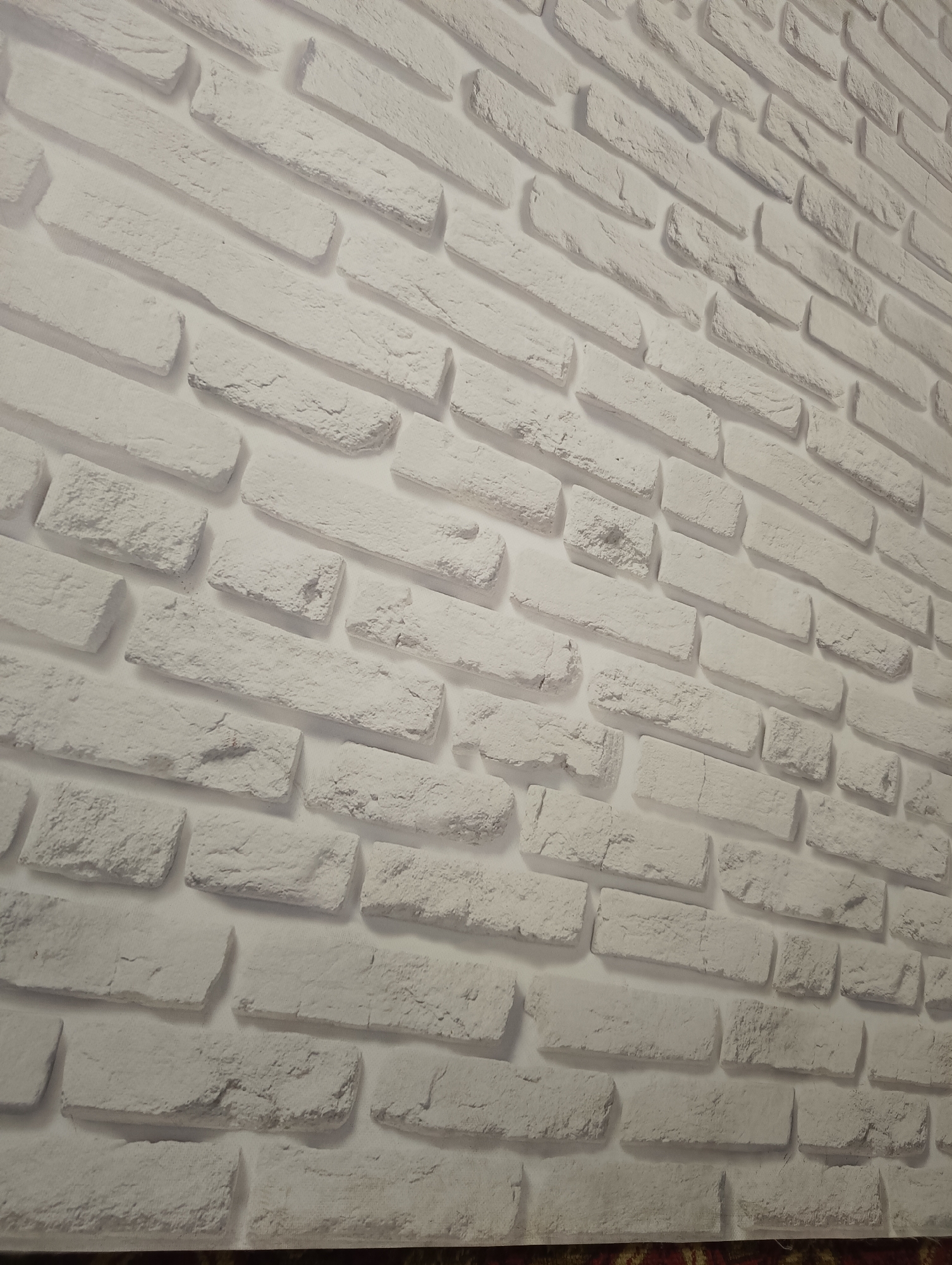 The image shows a textured white brick wall. The bricks are rectangular and laid in a staggered pattern with visible mortar joints. The texture of the bricks appears rough and uneven. The perspective suggests the photo was taken at an angle, with the wall receding into the distance. The image does not contain any people, subjects, objects, actions, or interactions. There is no information to place the image in Biliaivka, Ukraine.