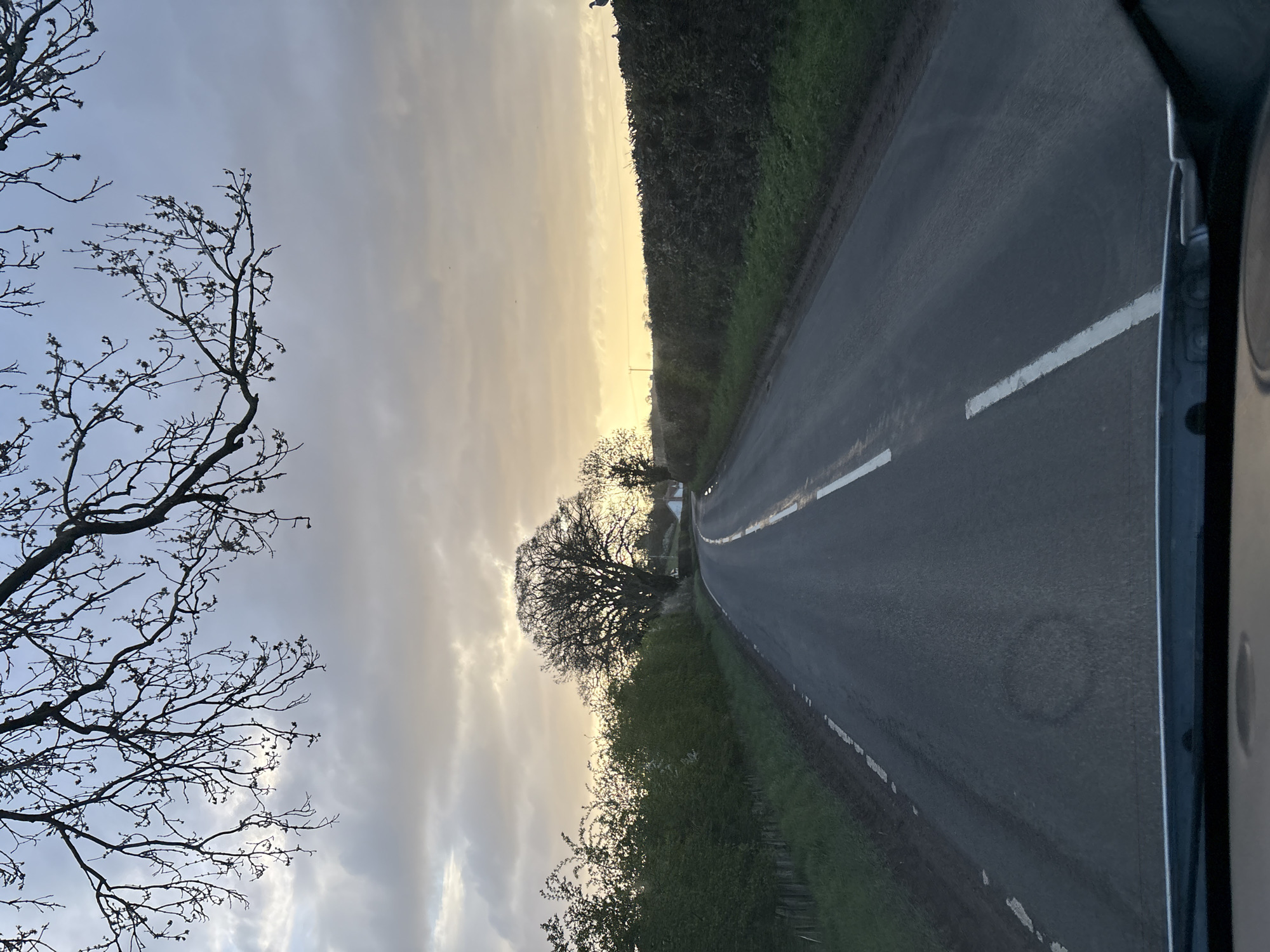 The image depicts a rural road scene near Ruyton-XI-Towns, United Kingdom. The road is asphalt with a central broken white line marking. A thick green hedge lines the right side of the road, while a bare tree with visible branches stands to the left against a cloudy sky. The horizon suggests the possibility of dawn or dusk, with lighter tones breaking through the clouds. The scene is taken from inside a vehicle; parts of the vehicle's interior are visible on the right. No people are visible.