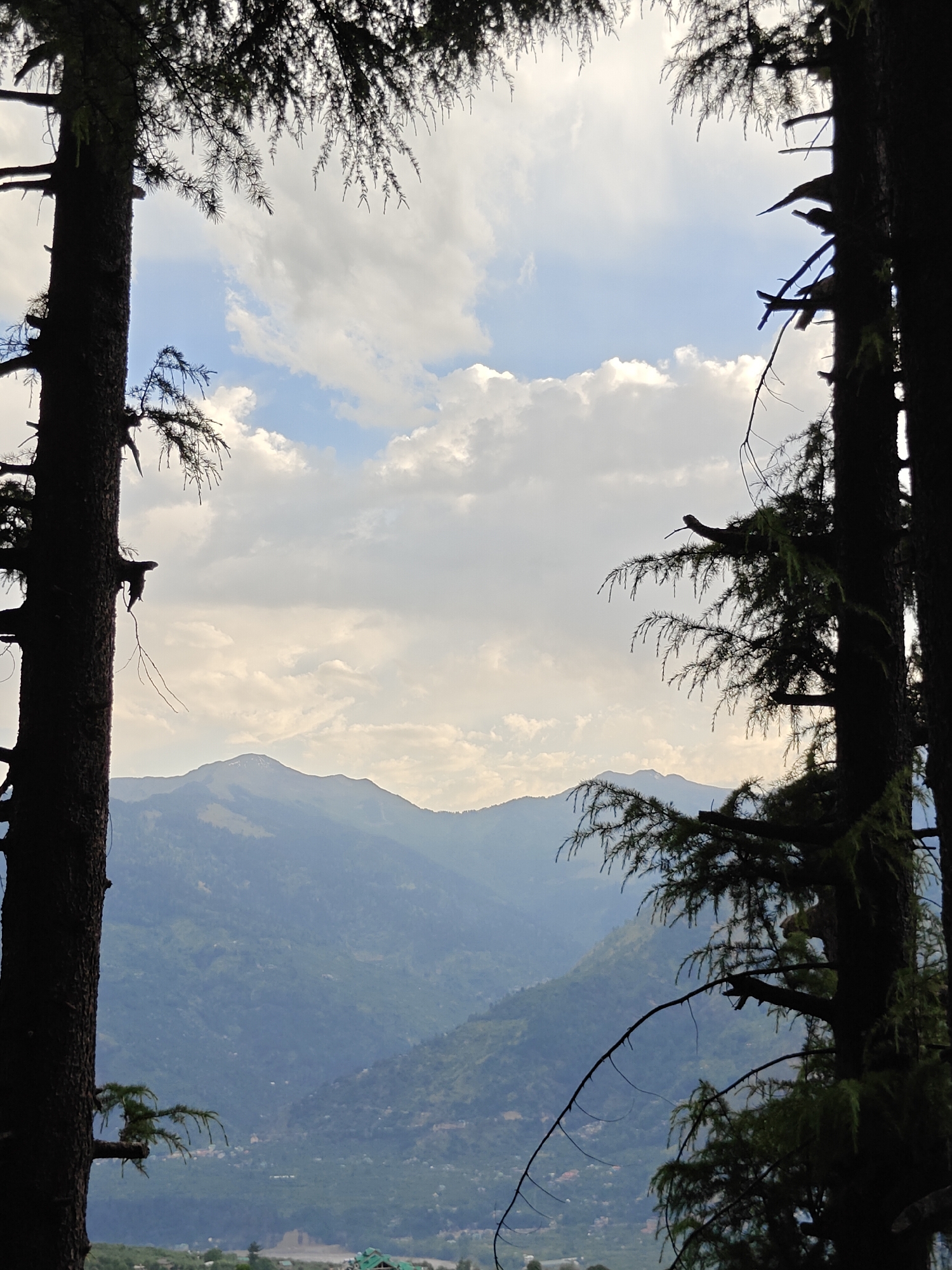 The image shows a view of mountains framed by two trees, likely firs, in what appears to be a mountainous or forested region. The sky is partly cloudy with patches of blue. The mountains are a muted blue-green, fading into the distance with a hazy atmosphere. At the base of the mountains, there are signs of habitation and possibly some agricultural land. The foreground consists of tree trunks with sparse branches and foliage. The trees obscure the scene and are the primary focal point of the frame. The general location is suggested to be Nashala, India.