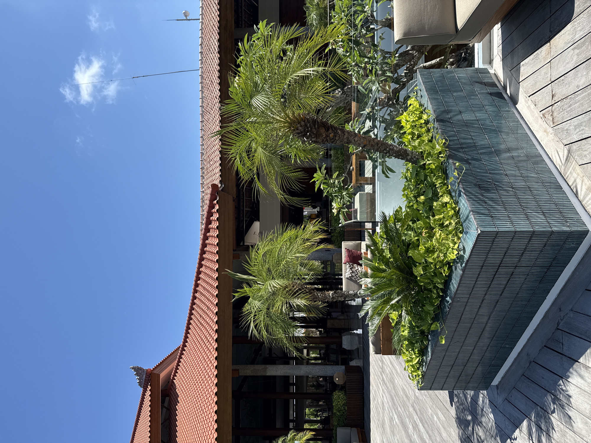 The vertical image captures a bright, sunny outdoor scene, likely at a resort or large property in Kuta Selatan, Indonesia. The central focus is a vibrant interplay of architecture, lush greenery, and a clear blue sky.
On the left, a building with a distinctive red-orange tiled roof dominates the upper half, featuring a traditional architectural ornament on one of its peaks. The building's structure below the roof appears to incorporate wooden beams and large windows, reflecting the surroundings. Tall, green palm trees are prominently featured, their fronds catching the sunlight and casting shadows. Other leafy green plants, some with lighter green hues, are also visible.
In the foreground and extending to the right, a textured wooden deck provides a warm, natural surface, marked by distinct shadows indicating a strong, bright light source, likely the midday sun. Adjacent to the deck, a large, rectangular planter with a dark green, ribbed or slatted surface is overflowing with lively green foliage. Beyond this planter, glimpses of outdoor seating, including a sofa with cushions, suggest a comfortable lounge area.
The sky above is a brilliant, clear blue, with only a few wispy white clouds scattered across it. An antenna-like structure is silhouetted against the sky on the upper left. No people are visible, contributing to a tranquil and serene atmosphere. The overall impression is one of a well-maintained, tropical environment bathed in abundant sunshine.