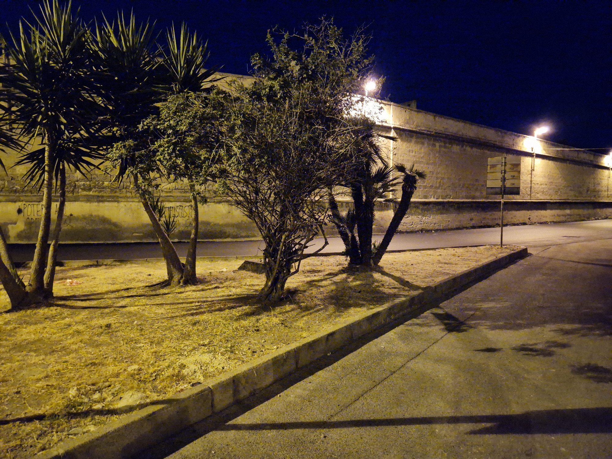 The image depicts a street scene at night in Taranto, Italy. In the foreground, a paved road with distinct shadows stretches towards the right side of the frame. A concrete curb separates the road from a patch of dry, yellow grass and scattered foliage. Several trees are visible, including some with spiky fronds, likely Yucca plants, and a more dense, bare-branched tree in the middle. Behind the vegetation is a long, light-colored stone wall, possibly a retaining wall or part of a building, illuminated by streetlights. The wall has a textured, brick-like appearance. Two streetlights are visible along the wall, casting a warm, yellow glow. The sky above is a deep, dark blue, indicative of nighttime. Graffiti can be seen on the lower part of the wall in the left portion of the image. There are no people visible in the scene. The overall atmosphere is quiet and somewhat stark due to the artificial lighting and the absence of human activity.