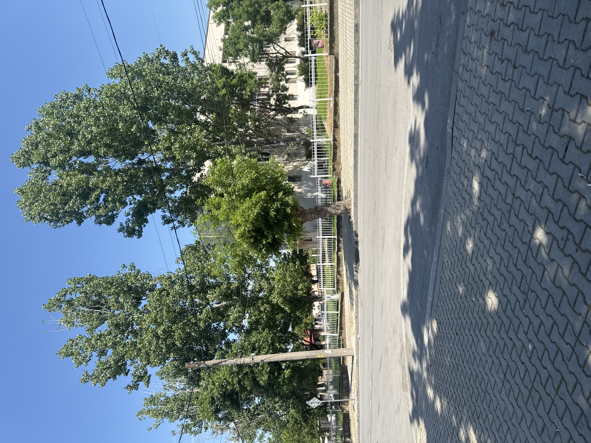The image depicts a street scene in an unidentified urban location. The street runs horizontally with asphalt on the left and a brick-patterned sidewalk on the right. Tree shadows fall across the sidewalk. A row of trees lines the street, and a white fence runs parallel to the street behind the trees. Behind the fence is a multi-story building with visible windows. Power lines are strung across the top of the frame. A wooden utility pole is visible. The sky is clear blue.