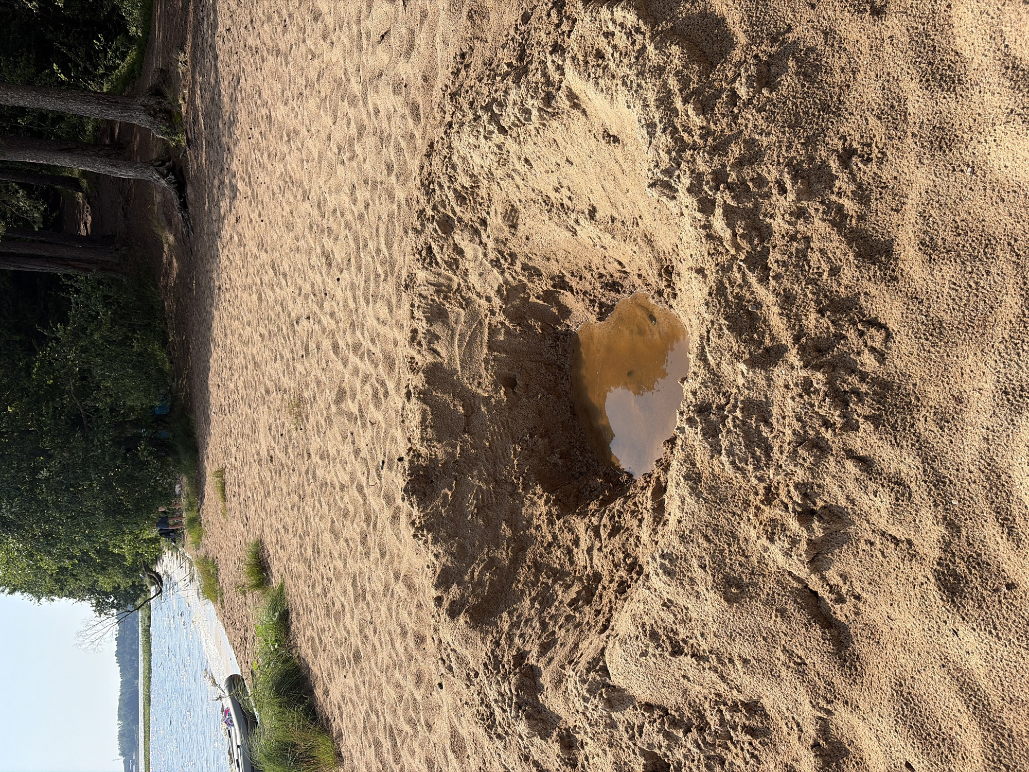 The image depicts a sandy beach area in Vaskelovo, Russia, with a large, irregularly shaped hole dug into the sand in the foreground. The hole has a diameter of approximately 2 meters and is partially filled with murky water. The surrounding sand is dry and compacted, with footprints and rippled textures visible. In the background, a body of water, likely a lake or river, is visible, with trees and vegetation lining the shore. A partially inflated boat is also present on the sandy bank. The sky is clear and blue. Several individuals are present in the background near the tree line, appearing to be engaged in recreational activities.