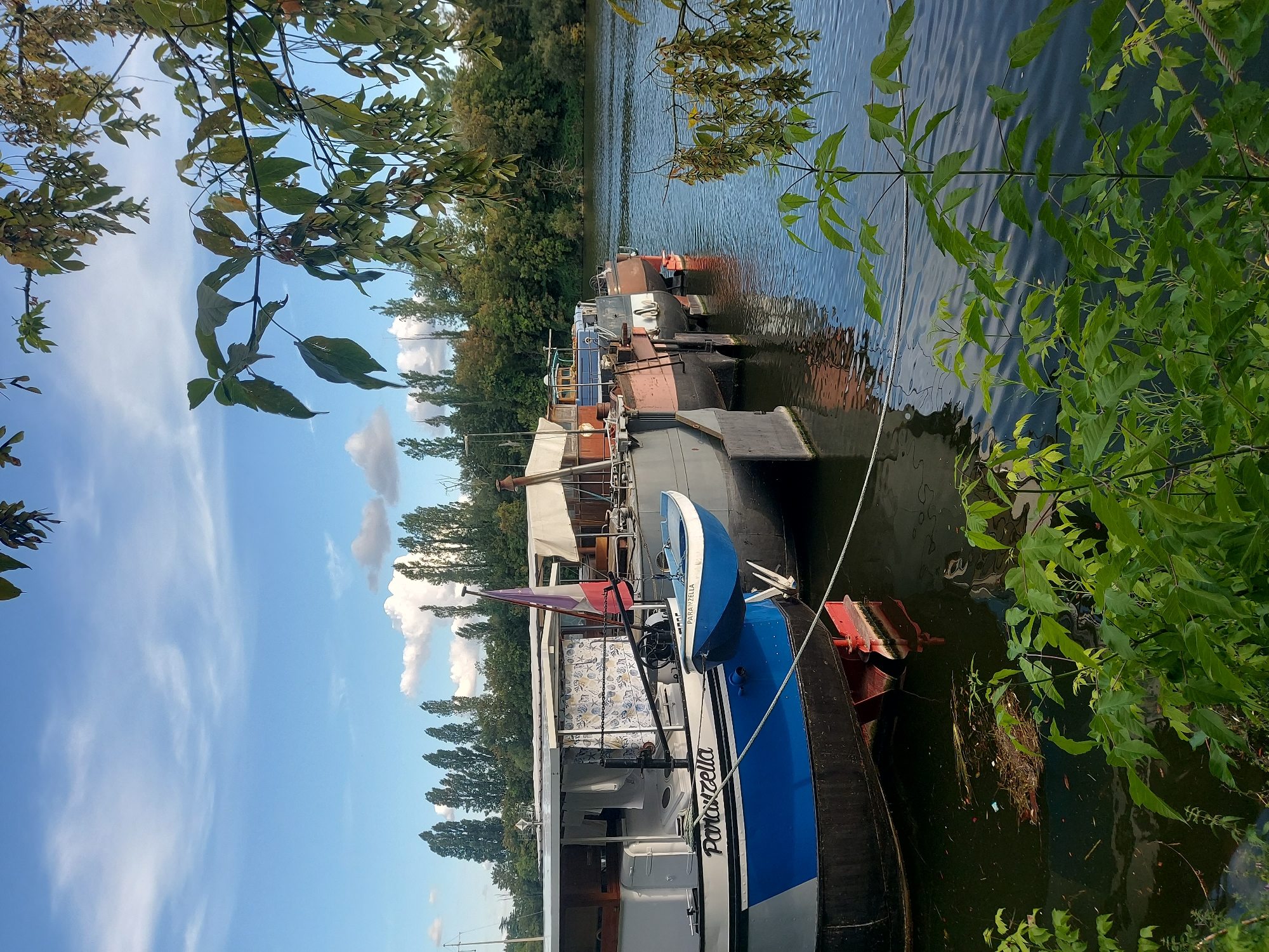 The image depicts a serene waterscape at the confluence of the Seine and Oise rivers in Conflans-Sainte-Honorine, France, a town renowned as the river port capital of France. The scene is dominated by several moored houseboats and barges, their hulls and decks visible against the calm, reflective water. In the foreground, a large houseboat with "Parazella" written on its side is prominently featured, with a small blue dinghy suspended from its side. A French flag flutters from a pole on the houseboat. The water is dotted with a few pieces of debris, and the reflections of the boats and the sky are visible on its surface. The background is lined with tall trees, their green foliage creating a lush backdrop. Above, a blue sky is dotted with fluffy white clouds. The overall atmosphere is peaceful and tranquil, capturing a typical scene from this historic river town.