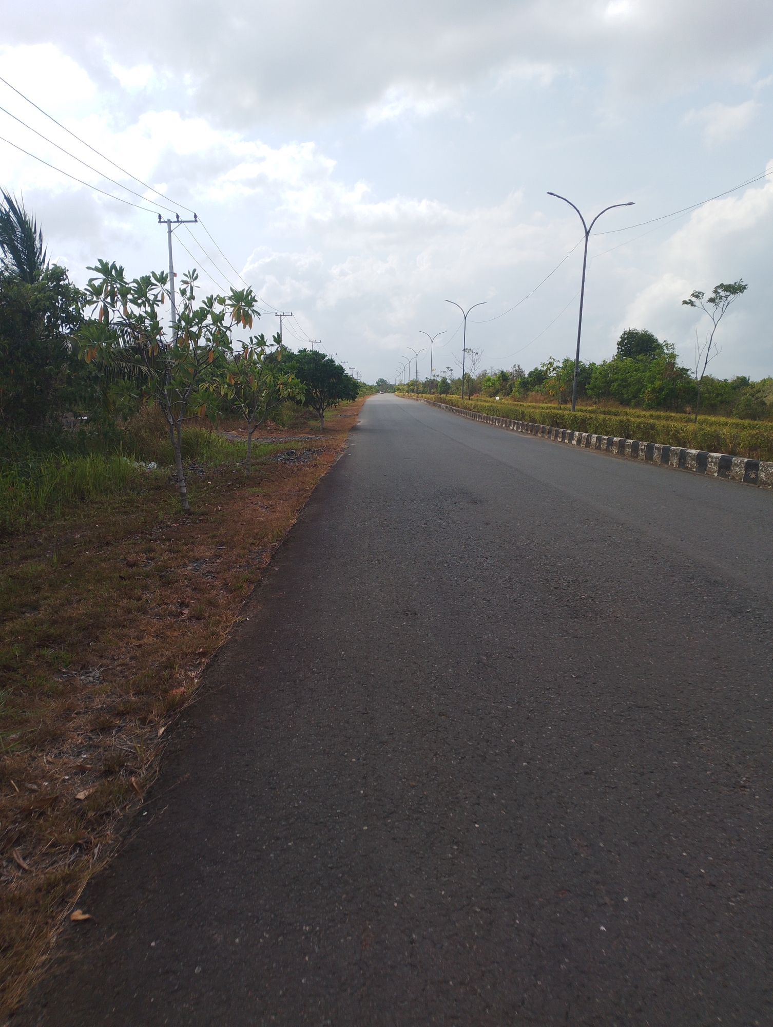 The image depicts an asphalt road in Batulicin, Indonesia, stretching into the distance under a cloudy sky. The road is lined on the left by dry grass and some small trees. On the right, the road is bordered by a low, decorative concrete barrier and a landscaped area with bushes and trees. Several lampposts are visible along the right side of the road, spaced at intervals. Utility poles with wires are also present on the left side of the scene. The overall impression is one of an undeveloped or developing area, likely on the outskirts of the city. There are no people or vehicles visible in the frame.