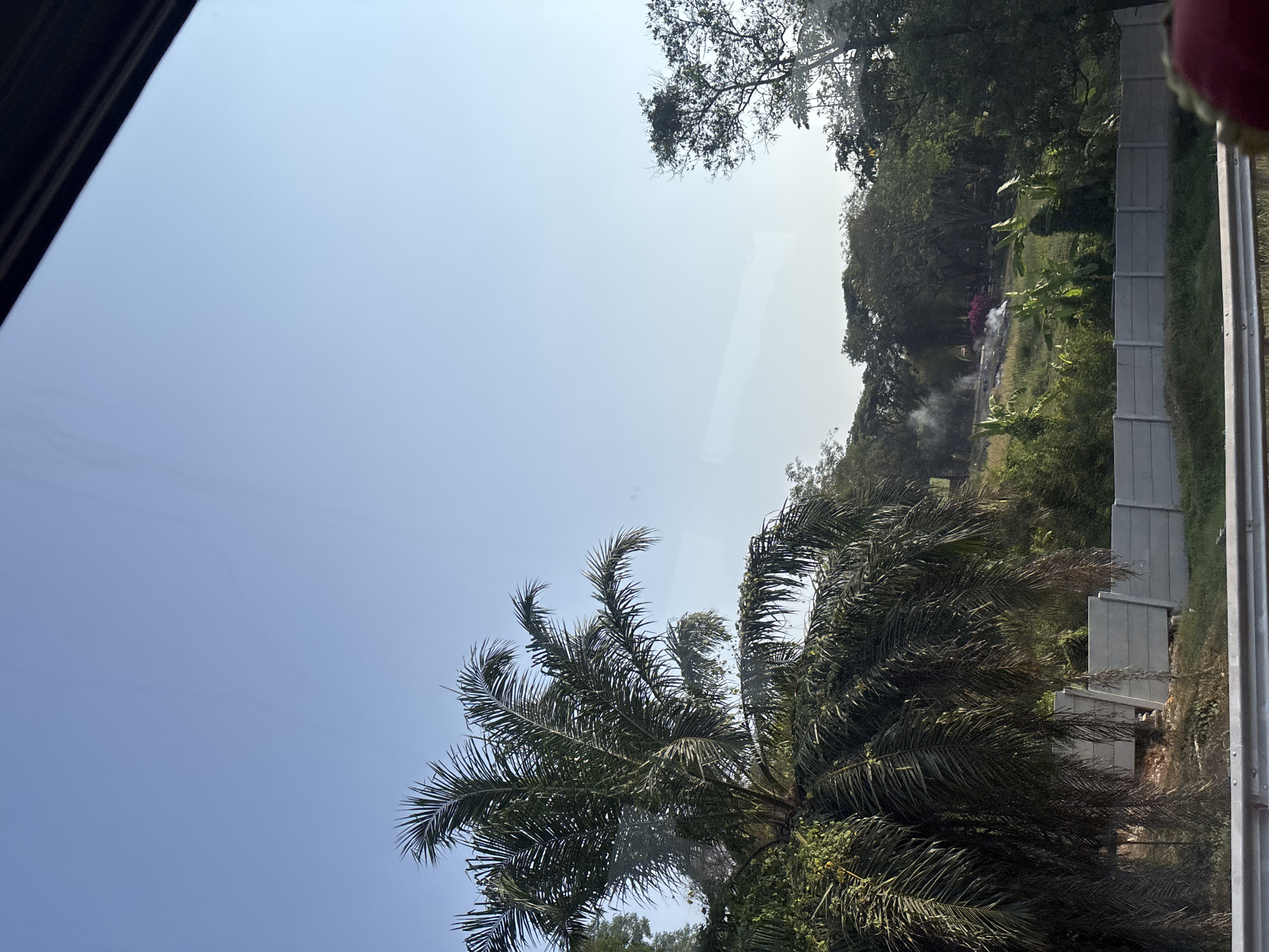The image captures a scene from what appears to be the outskirts of Karawang, Indonesia, looking out from a vehicle. Dominating the left side is a large palm tree with dense fronds against a clear, pale blue sky. In the mid-ground, a long concrete barrier runs horizontally, separating the foreground from a grassy hillside dotted with various trees and vegetation. On the hillside, there is evidence of a small fire with smoke rising, and a patch of bright pink flowers. The overall environment suggests a semi-rural or developing area within the city, with natural elements interspersed with man-made structures. There are no visible people or animals in the frame.