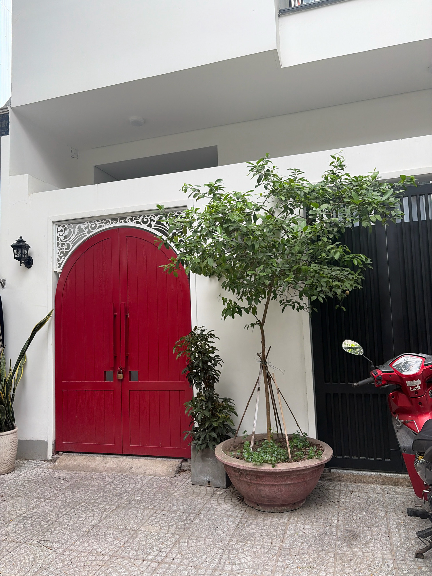 The image depicts an exterior view of a residential building in Da Nang, Vietnam. The focus is on a vibrant red, arched double door with two vertical handles and a padlock. Above the door, there is an ornate white decorative element. To the left of the door, a black outdoor lamp is mounted on the white wall. Beside the lamp, a tall, potted plant with long, striped leaves stands. To the right of the door, a small, leafy plant is visible. In front of the door, a large, terracotta pot contains a tree with lush green foliage, supported by wooden stakes. The ground is paved with interlocking grey tiles. To the right of the tree, a black metal gate is present, and a red scooter is partially visible, parked in front of the gate. The building facade is predominantly white, with a visible overhang and a section of a higher floor. The scene appears to be set on a sidewalk or entranceway.