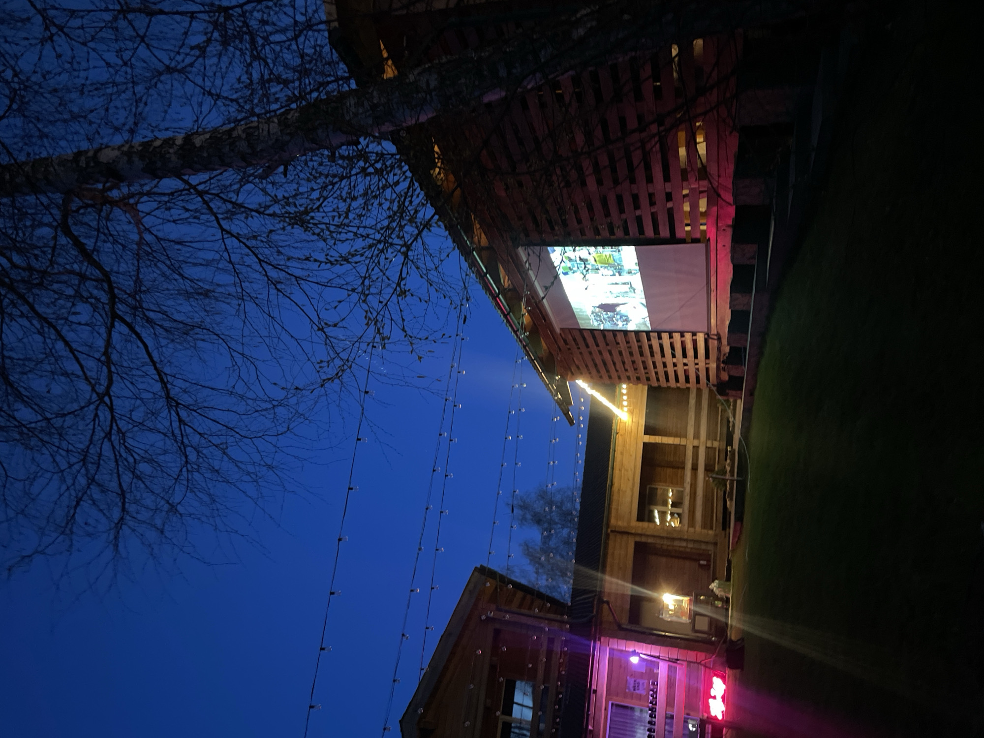 Captured at night, the image features a building complex in Daurskoe, Russia. A screen showing a brightly lit image is mounted on the side of a building constructed from wooden slats. Strings of lights dangle from the structure. Adjacent to the building with the screen is a taller, wooden structure with visible windows. It is illuminated with a reddish light at its base. To the left, silhouetted tree branches reach into the dark blue sky. The scene is partially lit by the screen and the lights on the buildings. A patch of dark green grass is on the right.