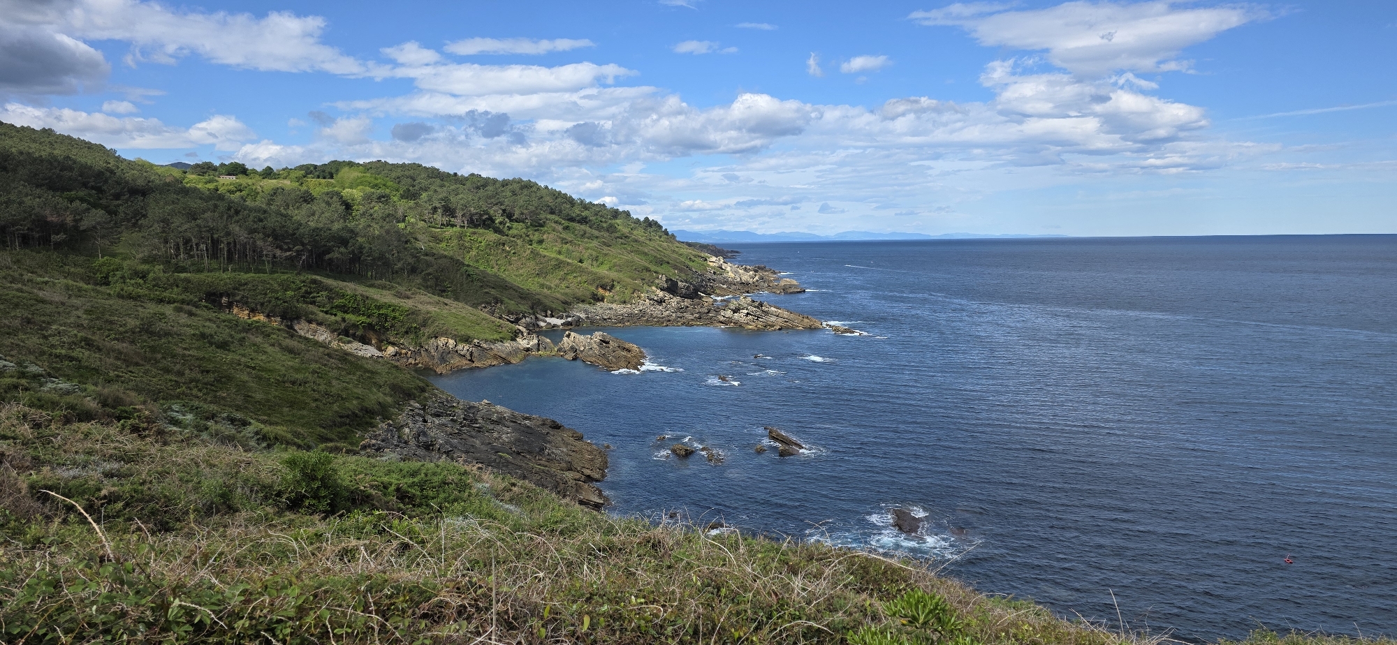 The image captures a coastal landscape in Hondarribia, Spain, under a blue sky dotted with cumulus clouds. A headland, covered in greenery and patches of forest, slopes down to a rocky coastline where it meets the deep blue sea. The foreground shows dense vegetation, suggesting a clifftop vantage point. Waves are visible breaking against the rocks in the bay. The ocean extends to the horizon, with distant landforms faintly visible.
