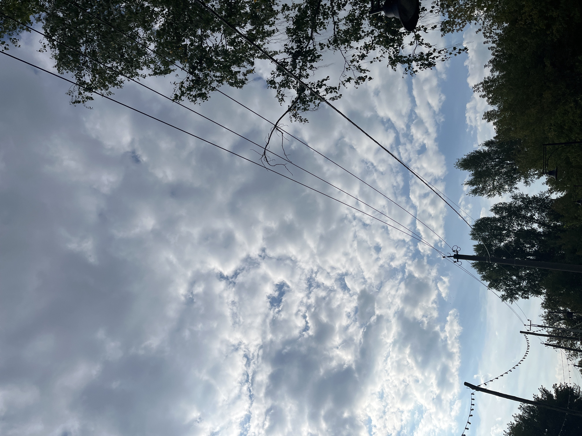 The image depicts a cloudy sky with various trees and power lines silhouetted against it. In the foreground, several dark wooden poles with string lights are visible, suggesting an outdoor event or pathway. More power lines stretch diagonally across the frame, with a bare tree branch intersecting them on the right. Lush green trees form a dense canopy in the lower half of the image, with some appearing to be deciduous. The sky is filled with a mix of bright white and darker gray clouds, with patches of blue sky peeking through. The scene is likely captured in Blagoveshchensk, Russia, given the context, and could represent an urban park or an area with decorative outdoor lighting.