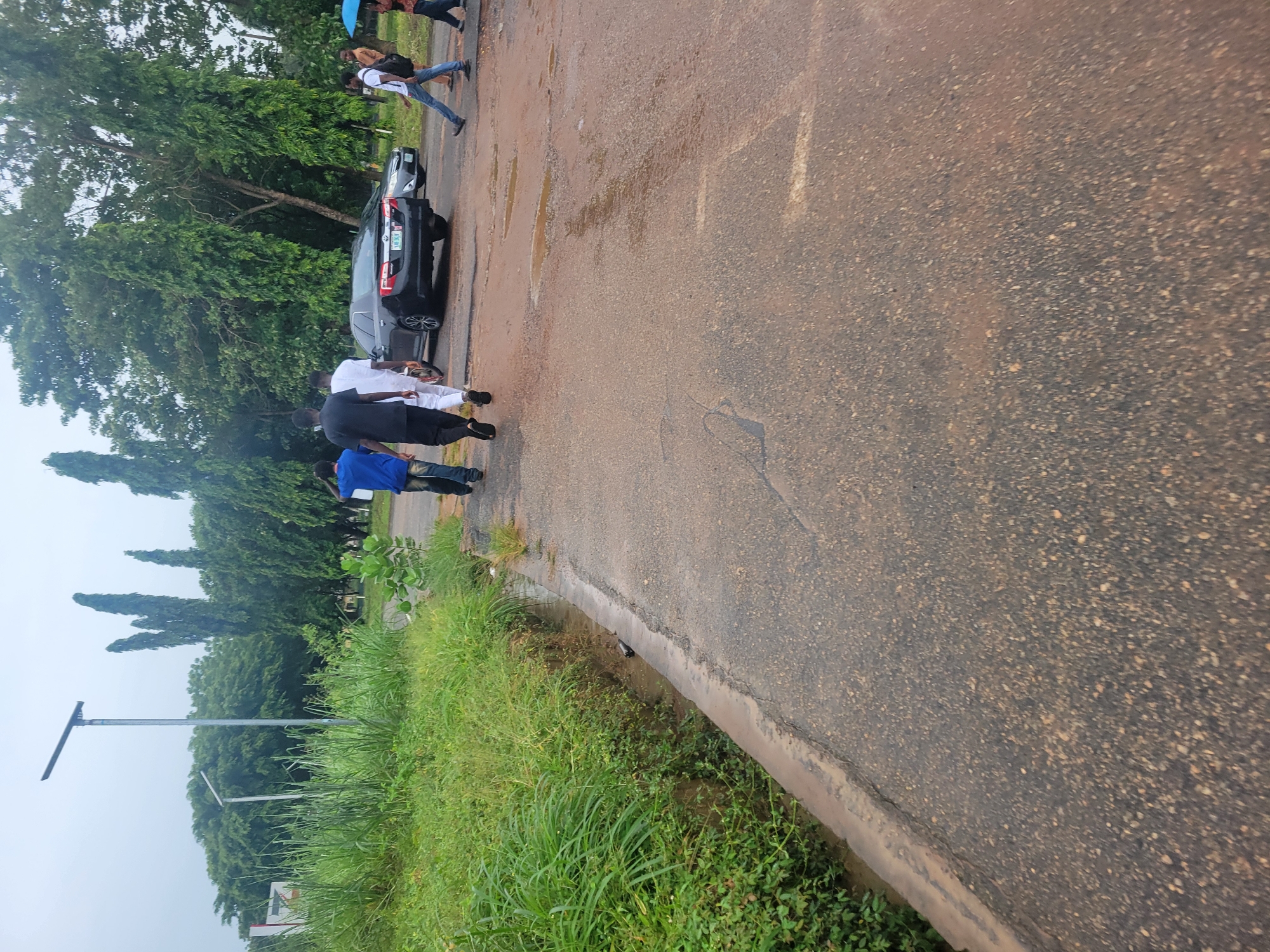 The image depicts a group of individuals walking on a wet asphalt road. In the foreground, lush green vegetation lines the left side of the road, with a narrow, muddy drainage ditch. Several people are walking away from the viewer towards the right of the frame, some carrying umbrellas. In the background, there are parked cars and tall, slender trees. The sky is overcast. The scene suggests an outdoor environment, possibly in a suburban or campus setting, where recent rain has left the road surfaces damp.