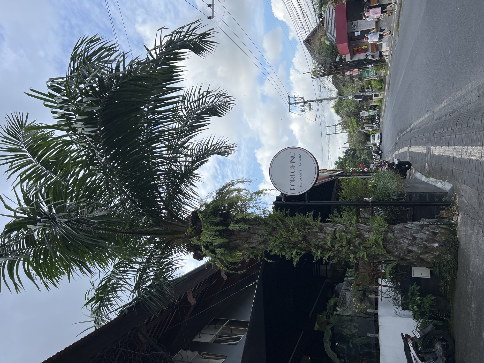 A street scene in the Ubud District, Indonesia, shows a palm tree and a sign for "Portofino Ristorante Italiano." The palm tree, laden with ferns on its trunk, stands near the restaurant's building. Above, power lines intersect a sky with clouds. Down the road, a sidewalk adjoins the street with visible pedestrian activity. Parked vehicles and vegetation contribute to the scenery.
