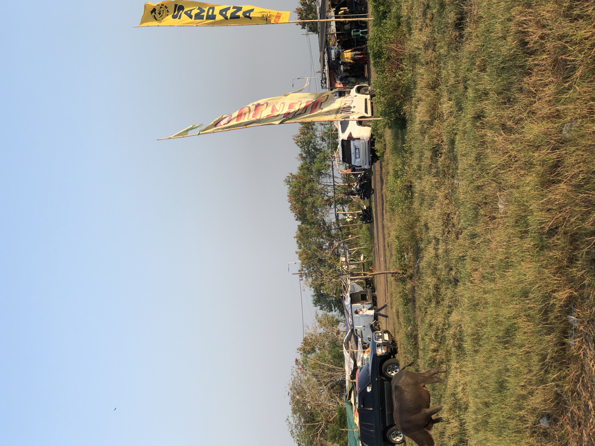 In Gempolsari, Indonesia, under a clear sky, a rustic outdoor scene unfolds. A dark-colored SUV is parked on a dirt path adjacent to a grassy field. To the right of the SUV, a white SUV is also parked, and beyond that, a cluster of makeshift stalls with tarpaulin roofs forms a market area. Several individuals are visible near the stalls, some standing and others interacting. Two prominent yellow flags, one with black lettering that appears to spell "SAMPANG" and another partially obscured flag, stand tall. A lone buffalo grazes peacefully in the foreground of the grassy field, adding a touch of rural charm to the setting. In the distance, a line of trees borders the scene, separating it from the open sky.