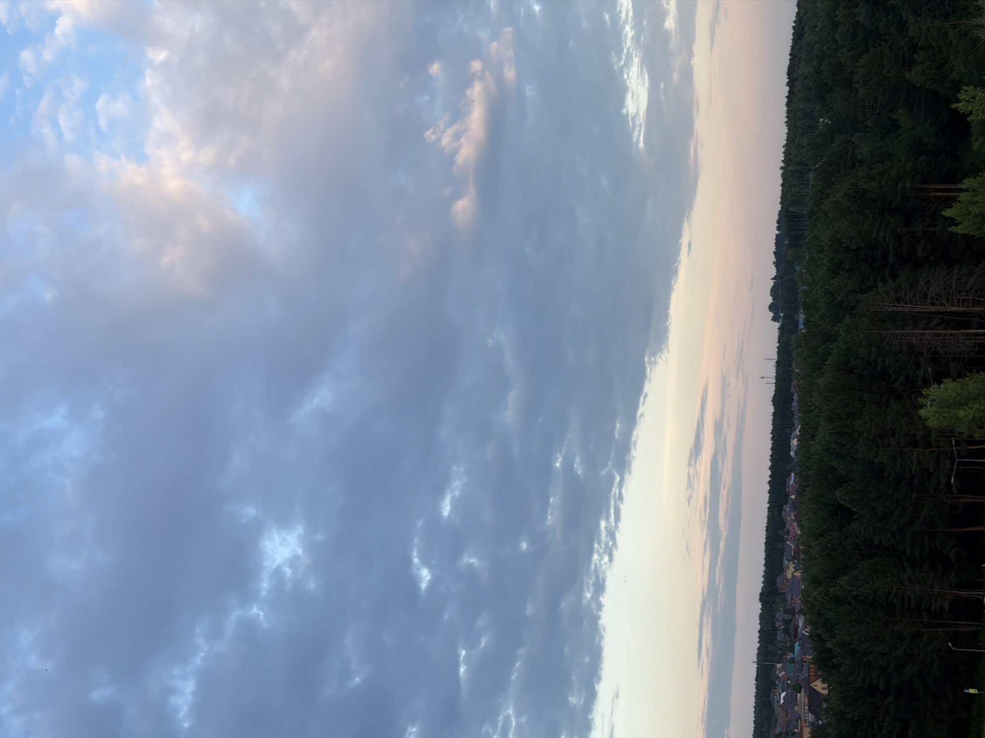 A vertical medium shot captures a forest bordering a village under a cloudy sky. The sky transitions from a light pink and orange hue near the horizon to a darker, mottled grey with patches of blue and white clouds overhead. The dense green forest occupies the lower half of the frame, with taller pine trees in the foreground and a mix of evergreen and deciduous trees receding into the distance. A village of houses with red and brown roofs is visible nestled within the trees on the left side of the image. The scene is depicted in daylight.