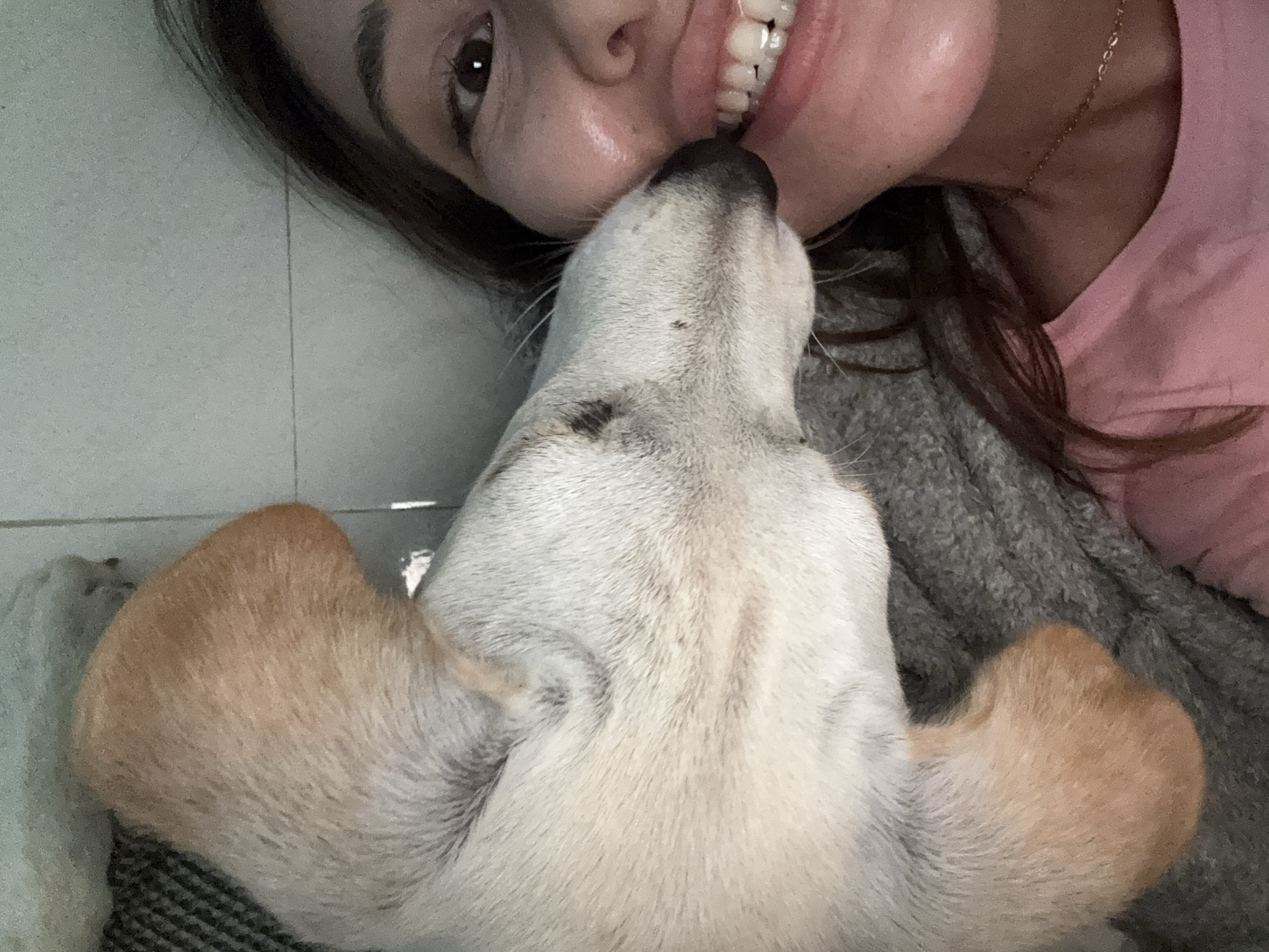 The image shows a close-up of a person and a dog. The person, with dark hair and wearing a pink shirt and a gold necklace, is smiling, showing their teeth. A light-colored dog, with tan markings on its ears and paws, is leaning in towards the person, appearing to nuzzle or lick their cheek. The dog's fur is visible, with some darker spots on its muzzle. The background is blurry, but appears to be an indoor setting with a light-colored wall and a textured surface, possibly a blanket or rug. The image is taken from a slightly elevated angle, looking down at the subjects. The location is identified as Baan Nok Sai, Thailand.