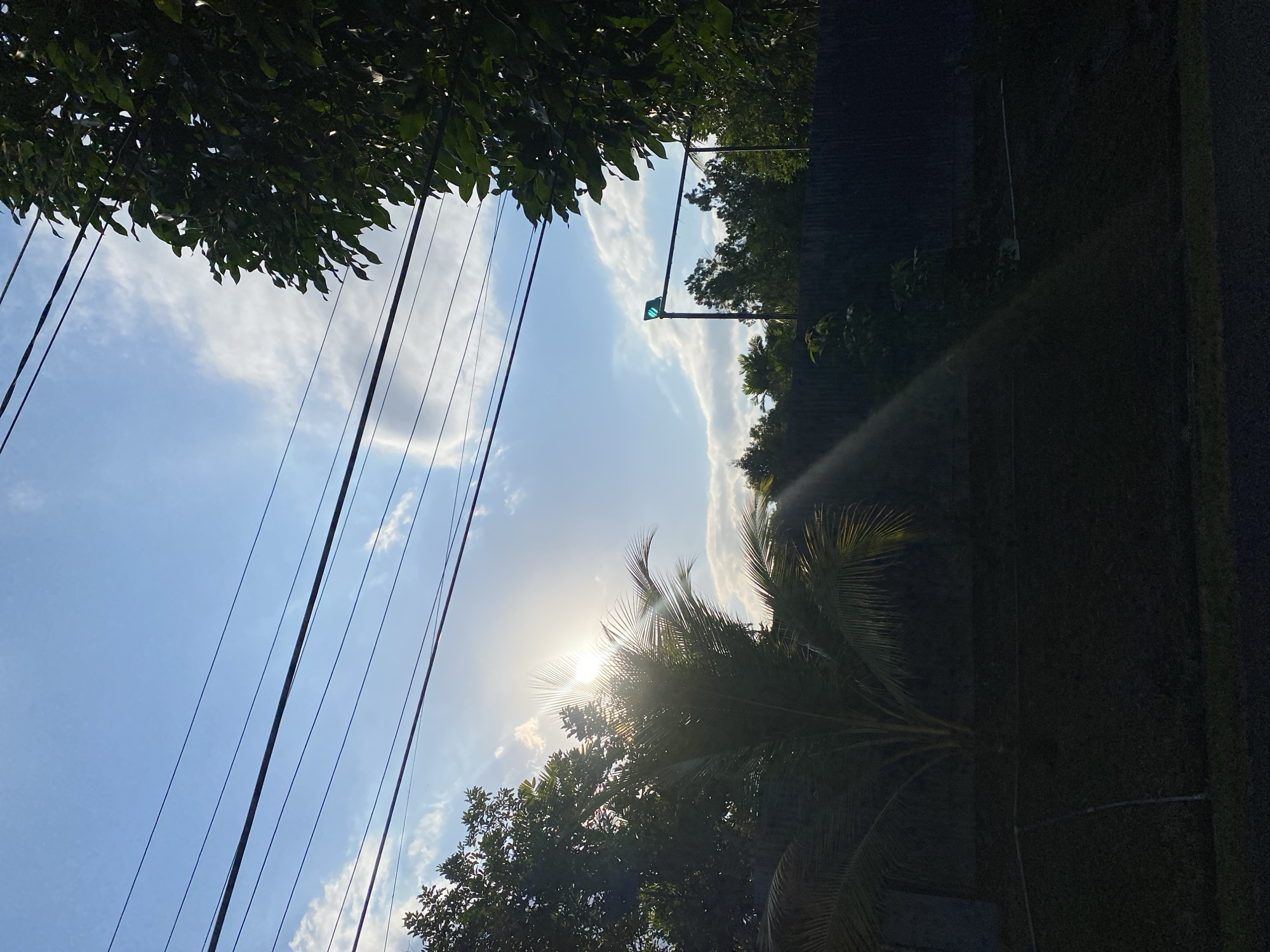 The image, taken from a low angle, captures a sky with scattered white clouds against a bright blue background. Several power lines stretch horizontally across the frame. On the left, the sun is visible, partially obscured by the fronds of a palm tree, creating a lens flare effect and casting rays of light. To the right, a dark green tree with dense foliage partially fills the upper right portion of the image. In the middle ground, a dark fence runs horizontally, behind which are silhouetted trees. A street light with a green signal is visible above the fence, positioned to the right of center. The foreground is dark, suggesting it is a shaded area with a road or paved surface. The scene appears to be an outdoor environment in Banjarbaru, Indonesia, characterized by vegetation and infrastructure.