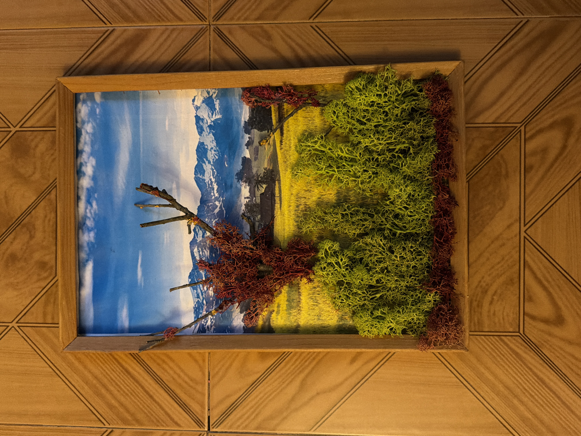 A framed three-dimensional nature diorama is depicted, located in the city of Pleven, Bulgaria. The rectangular artwork is presented in a light brown wooden frame with mitered corners. The background of the diorama consists of a printed image featuring a landscape with a blue sky and white clouds at the top, followed by a range of snow-capped mountains across the mid-ground. Below the mountains, a expansive yellow-green field or meadow is visible, with faint silhouettes of trees and a small structure in the distant mid-ground.
The foreground of the diorama incorporates natural materials in 3D. A dense layer of bright, lime-green, branched reindeer moss forms undulating clusters across the lower-mid section, simulating ground cover or low bushes. Beneath this, along the very bottom edge of the frame, are scattered pieces of reddish-brown moss or dried foliage. Several bare, dark brown, multi-branched twigs are vertically positioned, extending upwards from the base, acting as miniature leafless trees; some of the reddish moss is attached to these twigs.
The framed artwork is mounted on a light to medium brown wooden surface, which exhibits a precise geometric pattern of incised diagonal lines forming triangular and rectangular segments across its entirety. Lighting appears to originate from the upper left, casting subtle shadows to the lower right of the frame and highlighting the texture of the wooden mounting surface. No people or animals are visible.