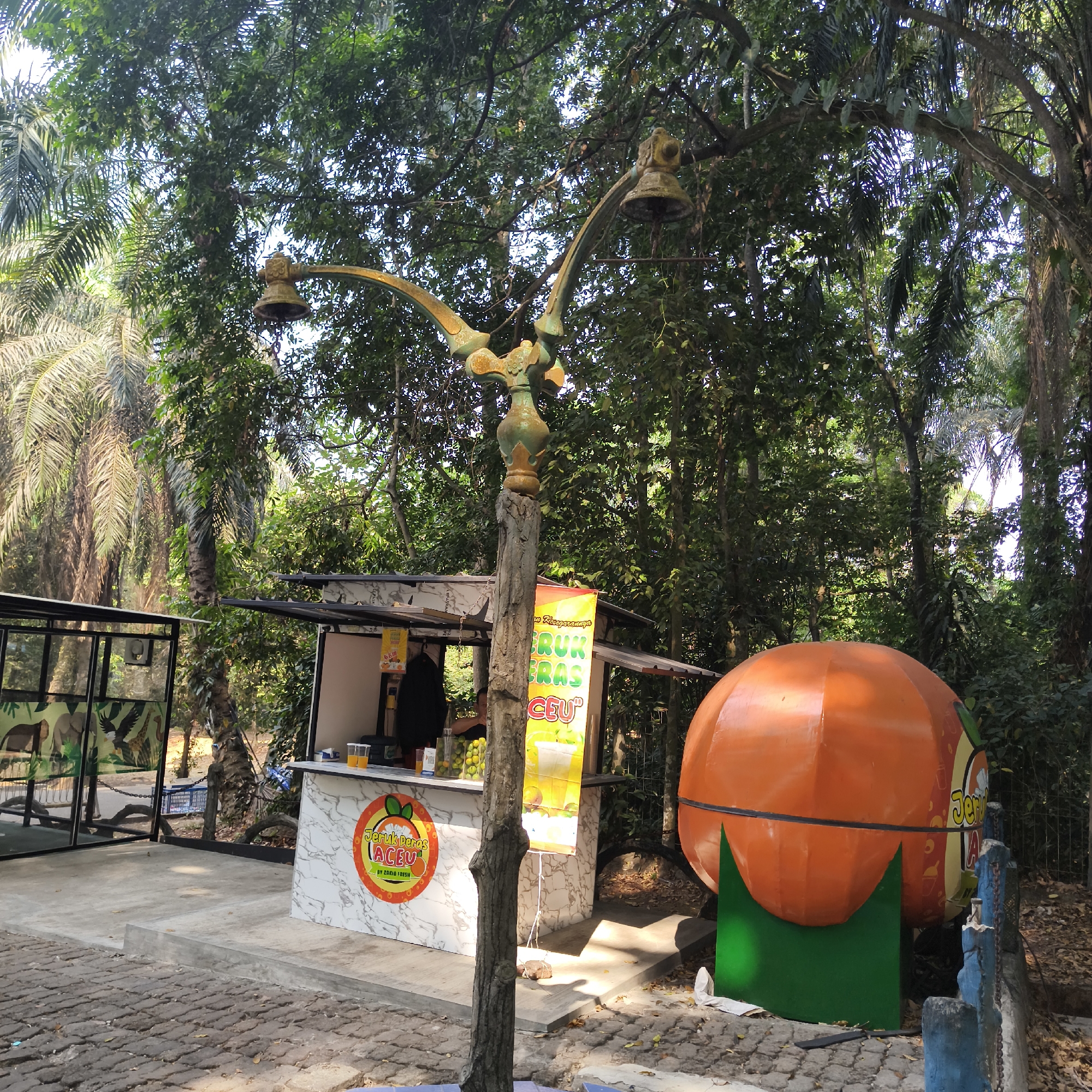 The image shows a juice stand set up outdoors in a park-like environment, likely in South Jakarta, Indonesia. The stand has a marble-patterned counter and is adorned with a circular logo that reads "Jeruk Peras ACEU" with text beneath it saying "BY ZAKIA FRESH". A large, orange-colored, spherical structure resembling a fruit is positioned to the right of the stand, serving as a decorative element or possibly part of the branding. Behind the stand, a tall, weathered lamp post with a decorative top is visible, surrounded by lush green trees and palm trees, indicating a tropical or subtropical setting. In the background, there's a fenced enclosure with images of animals, suggesting it might be near a zoo or wildlife park. The ground is paved with cobblestones and concrete. The overall scene depicts a commercial space operating within a natural, outdoor environment.
