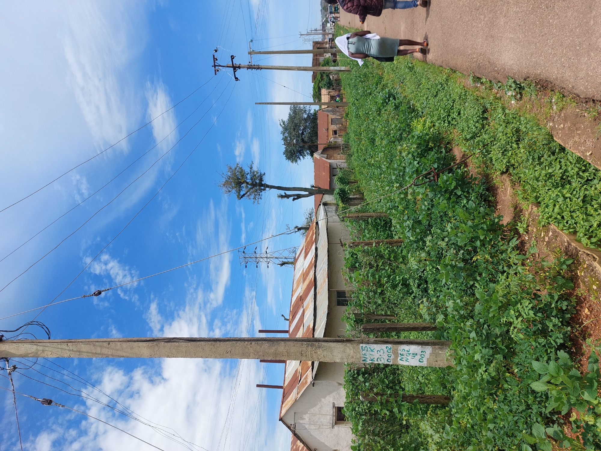 A medium-shot, eye-level, outdoor, full shot photograph captures a dirt road with a green, overgrown roadside in Barakin, Nigeria. The sky is a vibrant blue with scattered white clouds. On the left side of the road, a power pole stands tall, supporting numerous wires. Behind the pole, a small, light-colored building with a corrugated metal roof, showing signs of rust, is visible, bordered by a dense green hedge. Further down the road, several other similar buildings with rusted roofs and a large power pylon are seen. Two women are walking away from the camera on the dirt road. The woman in the foreground wears a light green dress and has a white cloth draped over her shoulders. The second woman, partially visible, is on the right side of the frame, wearing a dark jacket and blue jeans. The scene depicts a simple, rural or semi-urban environment with evidence of basic infrastructure and vegetation.