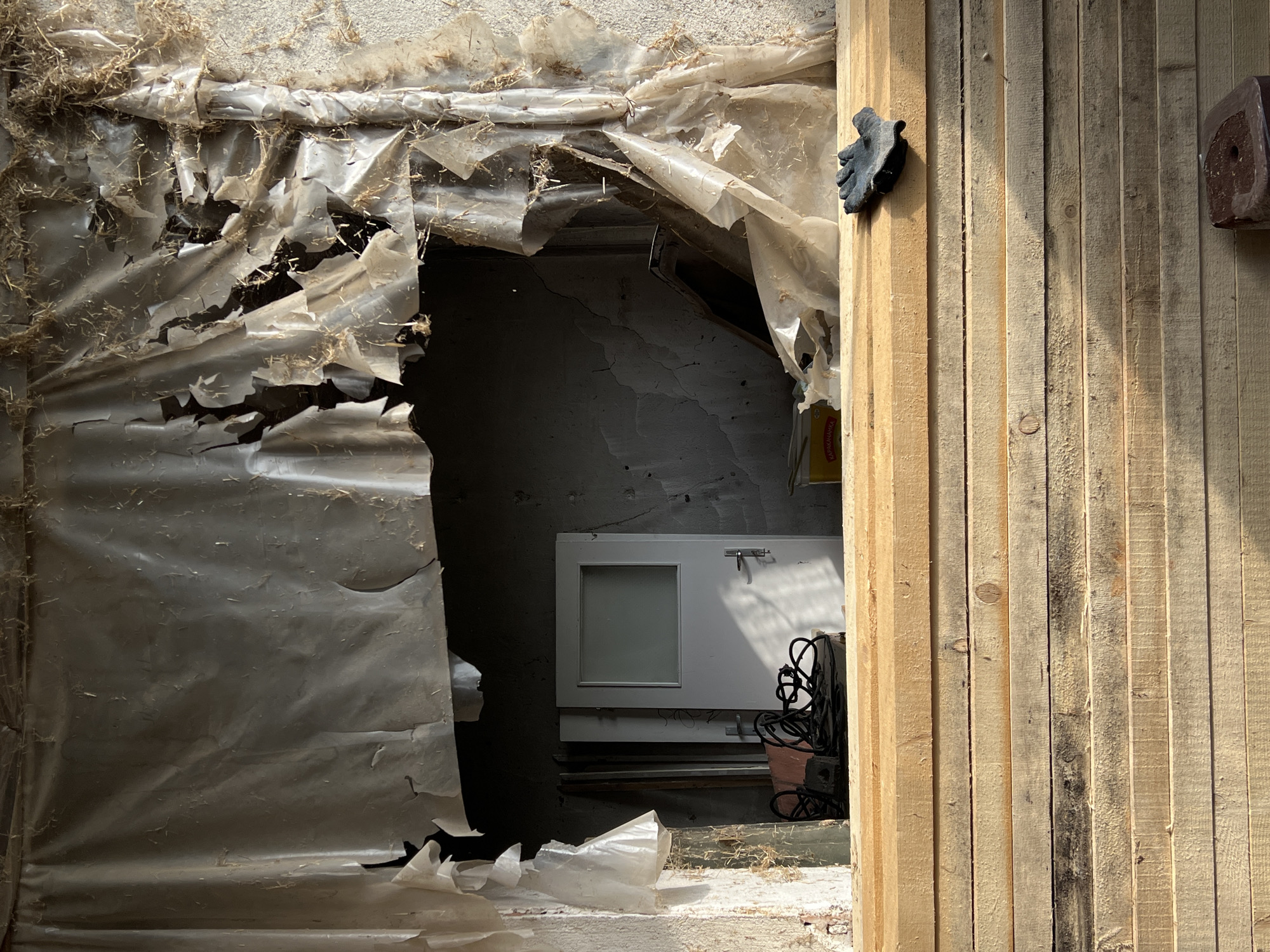 The image captures a disheveled interior space, likely a shed or storage area, viewed through a torn entryway in Ivan Vazovo, Bulgaria.
In the immediate foreground on the left, a large sheet of heavily degraded, translucent plastic or polythene sheeting hangs down, creating a ragged, irregular opening. This plastic is covered with debris resembling straw or dried grass. To the right, a vertical structure of light-colored, rough-cut wooden planks forms a doorway or wall, brightly illuminated by sunlight. A black, worn work glove is seen hanging on one of these planks. Further right, a dark, indistinct object with a circular indentation is attached to another plank.
Through the torn opening, the dim interior of the structure is visible. The walls appear rough, possibly concrete or plastered, with prominent cracks, particularly in the upper left section. A white door or panel with a small, square window-like insert is fixed to the back wall, featuring a metal latch on its right side. Below this panel, various items are stored, including coiled black cables or hoses, and a reddish-brown object. The floor inside is indistinct but appears dusty.
The strong, directional sunlight suggests a clear, possibly sunny day, highlighting the wooden planks and casting shadows within the interior. The overall impression is one of neglect, disuse, or a functional storage area. No people are present. Partially visible, blurry text, possibly in Cyrillic script, can be seen on a yellow object on the interior floor, but it is illegible.