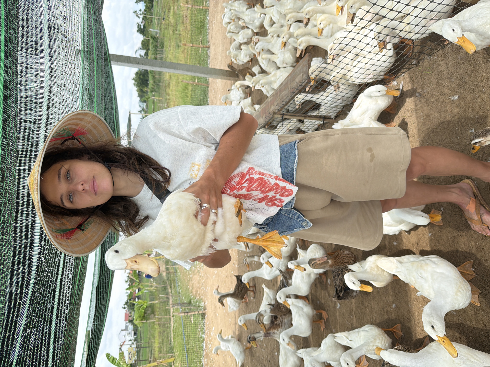A young Caucasian woman wearing a conical hat and casual clothing holds a white duck on a farm in Hoi An, Vietnam. The woman has brown hair and is looking at the camera. She is wearing a light-colored t-shirt, denim shorts, and tan shorts. The duck is white with an orange beak and feet. In the background, a large flock of white ducks are visible, some are inside a pen. The farm appears to be outdoors with a mesh covering overhead, providing shade. There are also some structures made of wood and bamboo in the background, and a lush green field with some buildings and palm trees. The ground is covered with dirt and sand. The overall setting suggests a rural or agricultural environment.