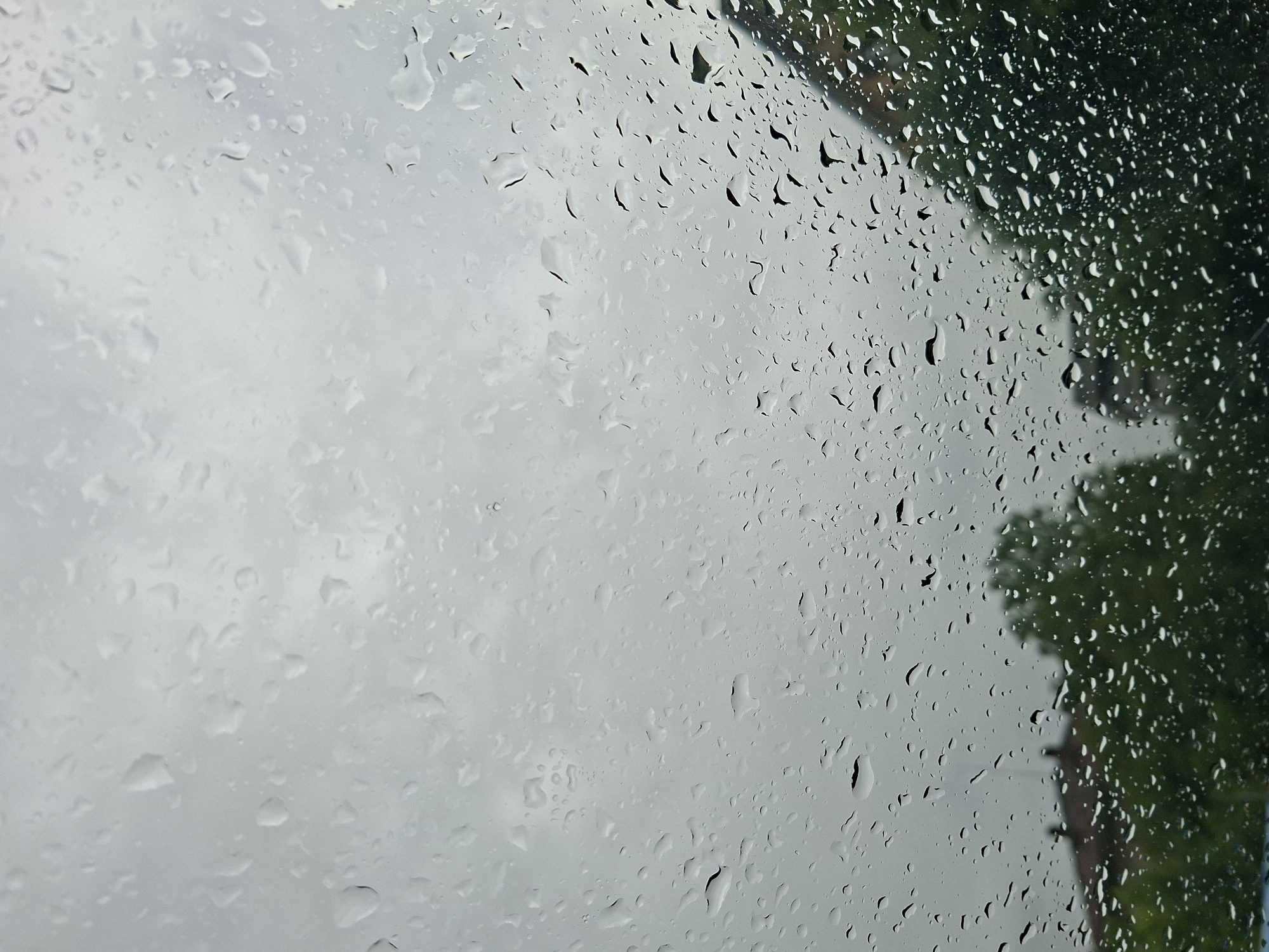 The image shows a rain-streaked window. Outside, on the left, is a blurry view of overcast, gray sky. On the right, also out of focus, are green trees and a blurred building outline, possibly a house. The location is Galabovo, Bulgaria. There are no people visible. The scene conveys a rainy day.