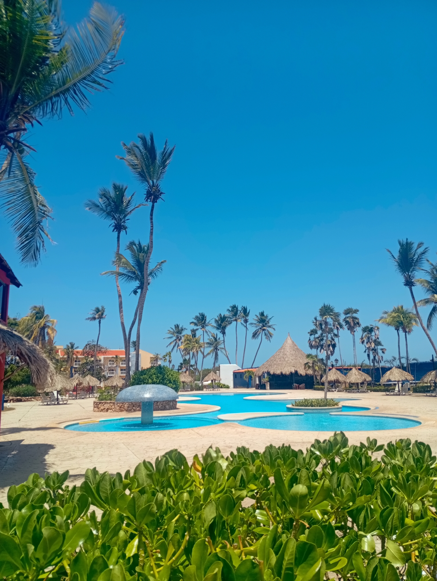 The image depicts a tropical resort scene in Playa El Agua, Venezuela, on a clear, sunny day. The foreground is filled with lush green vegetation, partially obscuring a multi-tiered swimming pool. The pool has a central mushroom-shaped fountain. Beyond the pool area, several thatched-roof structures, likely providing shade for resort guests. Tall palm trees are scattered throughout the scene. In the background, a multi-story building can be seen. No people are visible in the image.