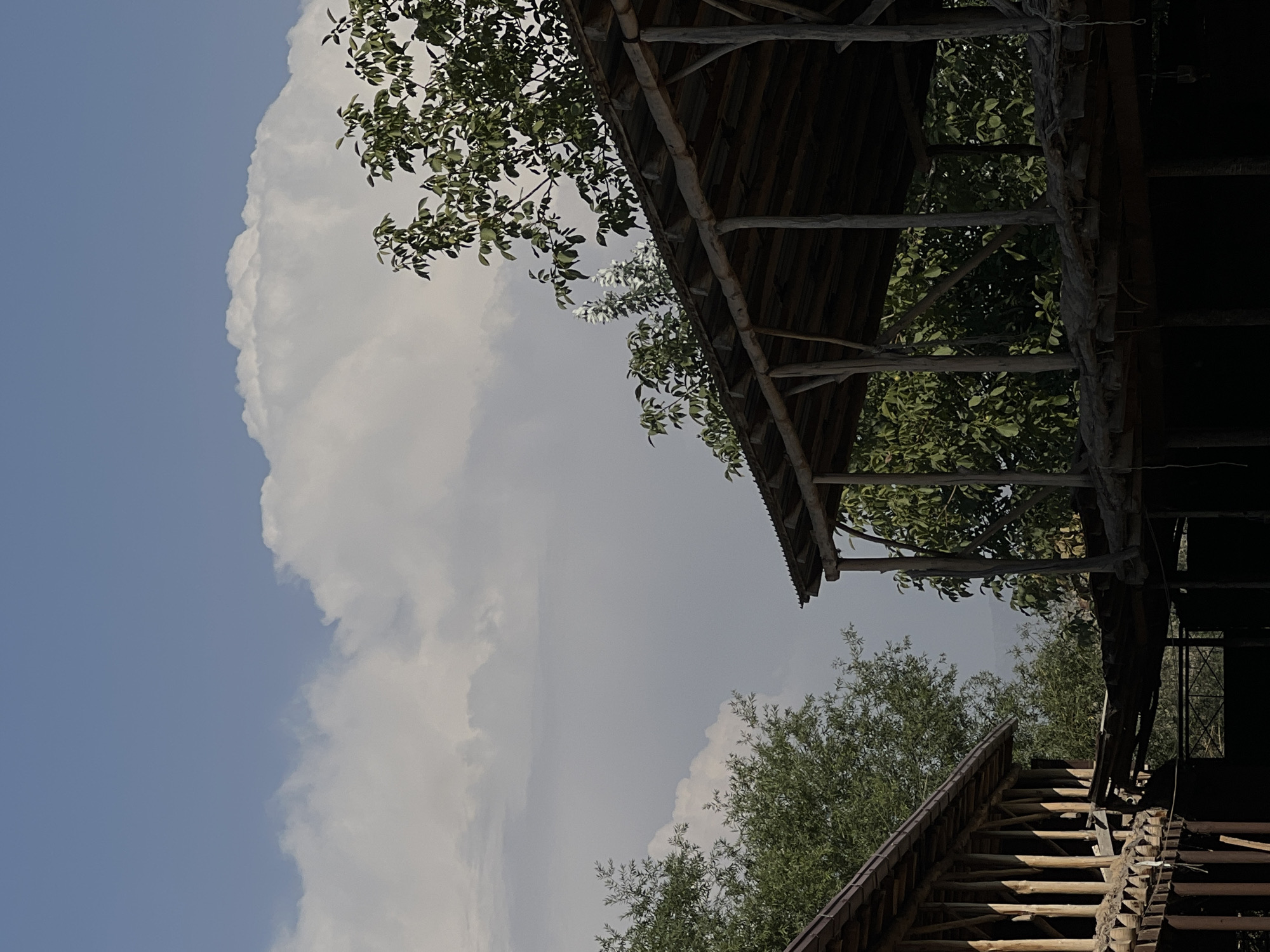 The image depicts an outdoor scene with two rustic, wooden structures, possibly gazebos or shelters, under a bright sky with large, white clouds. The structures are made of rough-hewn wood, with exposed beams and a thatched or wooden roof. One structure is on the left, featuring vertical wooden posts supporting a sloped roof. The other structure is on the right, appearing larger and more complex, with multiple levels and supporting pillars. Dense green foliage from trees is visible, intermingling with and surrounding the structures. In the distance, a hazy, mountainous landscape can be discerned. The lighting suggests a sunny day. The image does not contain any people or evidence of recent activity. The location is identified as Karamanas, Uzbekistan.
