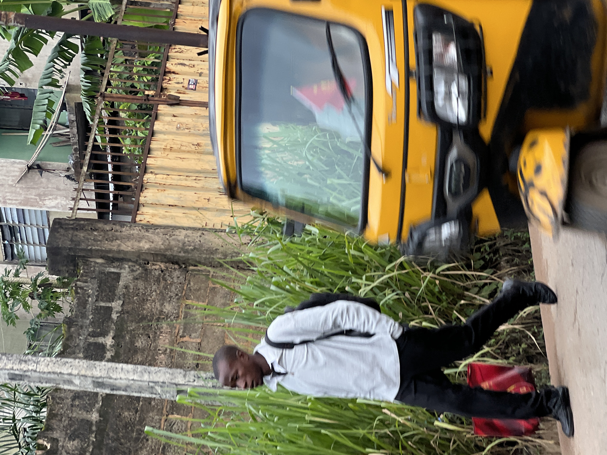 A young Black male walks along a paved path next to a wall and tall green grass in Nkpor, Nigeria. The man is wearing a light gray long-sleeved shirt, black pants, and black shoes. He has a black backpack on his shoulders and is carrying a red bag in his left hand. He is walking away from the camera, looking to his left. In the foreground to the right, the front of a yellow auto rickshaw is visible, partially obscuring the man and the environment. The auto rickshaw has black accents around the headlights and a black bumper. Behind the man and grass is a textured concrete wall, and further back, a corrugated metal fence and buildings with banana trees in the background.