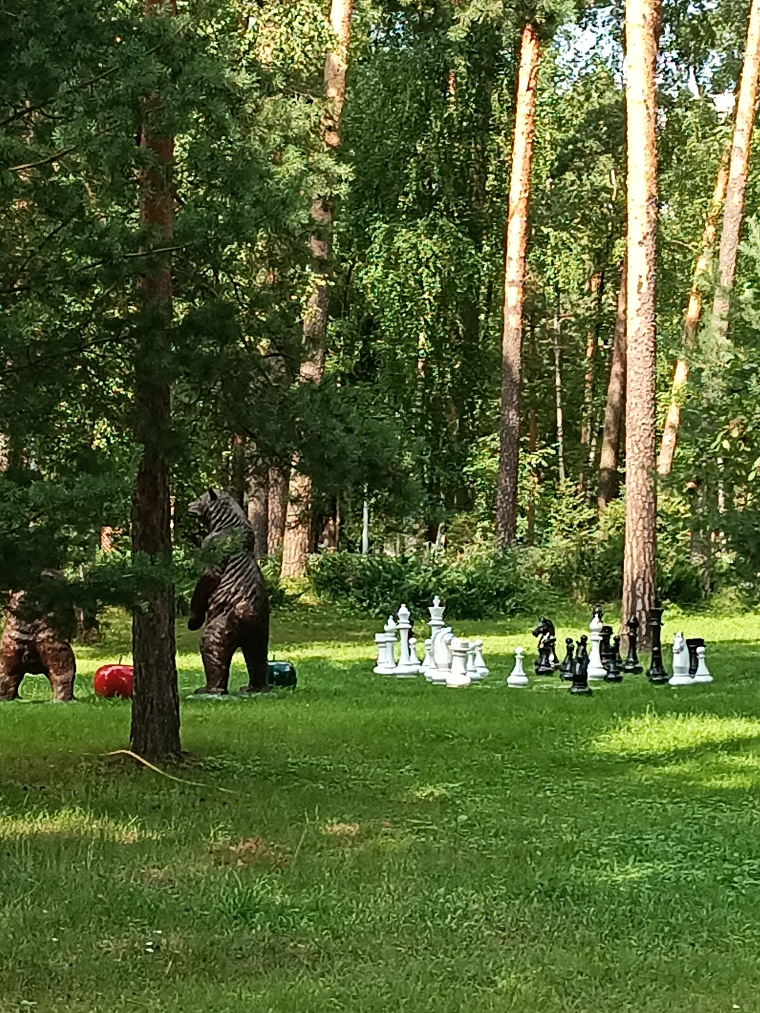 The image depicts a park setting with a variety of chess pieces arranged on a grassy lawn. The chess pieces are life-sized and made of a material that appears to be either concrete or resin, with both black and white pieces visible. In the foreground, two bear sculptures are present. The sculpture on the left is partially obscured by a tree. The sculpture on the right is more prominent, standing upright. A bright red, round object, possibly a ball or a decoration, is located behind the left bear sculpture, and a dark green object, likely a base or another decoration, is behind the right bear sculpture. The background features a dense forest of tall trees with visible trunks and green foliage. The lighting suggests it is daytime, with sunlight filtering through the trees, creating dappled shadows on the grass. The location is identified as the Bykovo settlement in Russia, specifically within a park or recreational area. There are no people visible in the image.