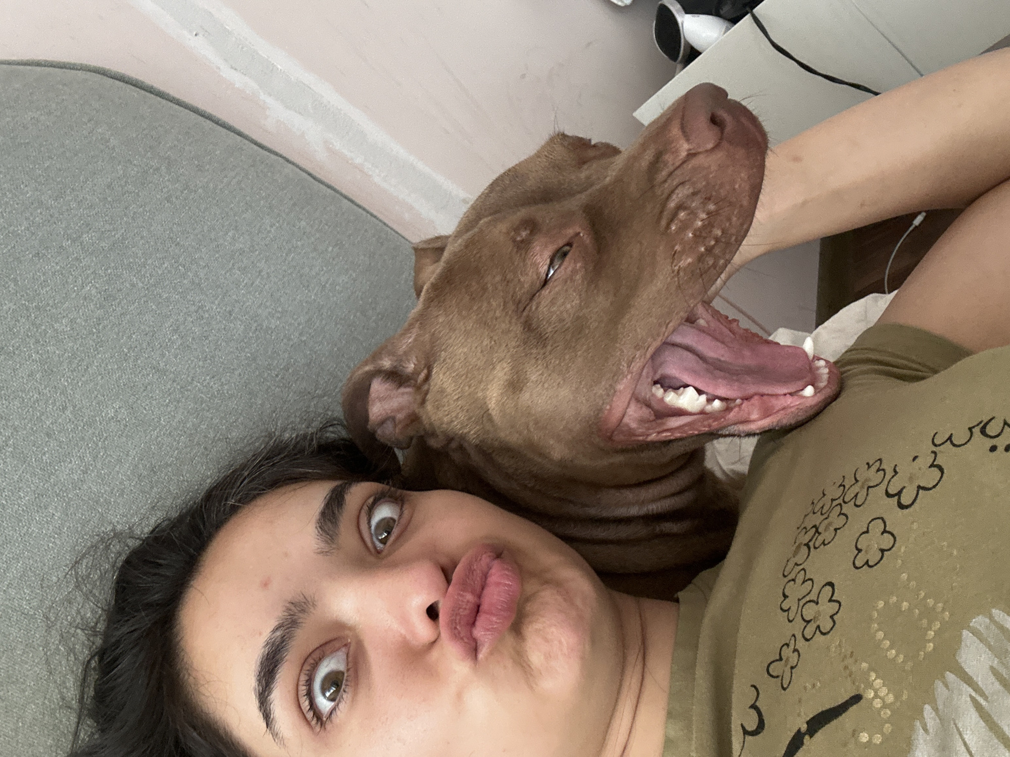 In Malevo, Bulgaria, a young woman with dark hair and wide, startled eyes is captured in a selfie. She is puckering her lips as a brown pit bull terrier yawns widely, its tongue and teeth visible, with its head resting on her shoulder. The woman is wearing a khaki-colored t-shirt adorned with a floral pattern. They are lying on what appears to be a gray couch, with a light-colored wall visible in the background. The scene suggests a moment of playful or surprised interaction between the woman and her dog.