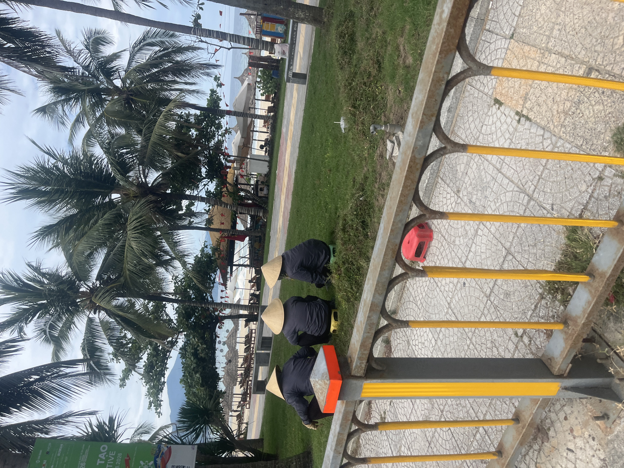 Three individuals wearing conical hats and dark clothing are seated on small stools on a grassy area. They are facing away from the camera. In the background, palm trees line a beach with lounge chairs and umbrellas. The sky is overcast. The scene appears to be a public area in Đà Nẵng, Vietnam, possibly near a beach resort or park.