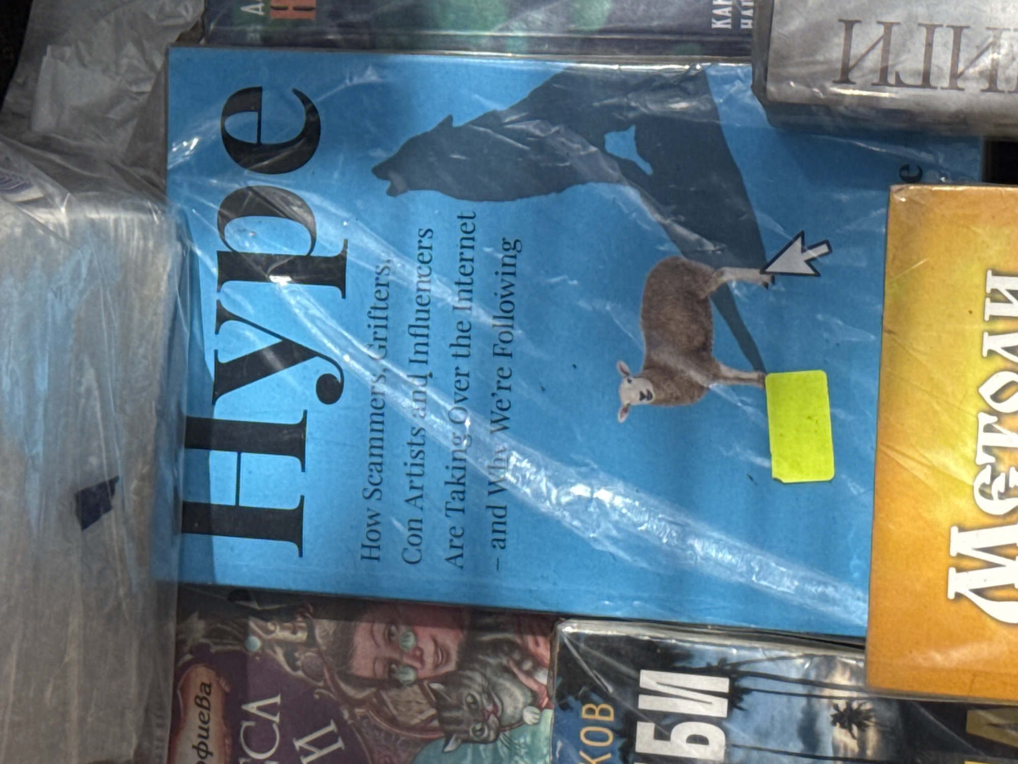 The image shows a book titled "Hype: How Scammers, Grifters, Con Artists and Influencers Are Taking Over the Internet - and Why We're Following." The cover features an illustration of a wolf and a sheep, with a computer cursor pointing towards the sheep. The book is partially covered in plastic wrap and is surrounded by other books.
The location is Sofia, Bulgaria.